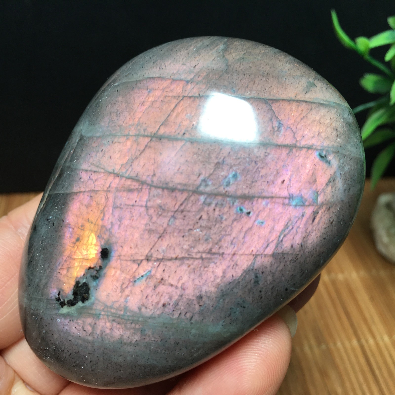 146g Natural Polished Labradorite plamstone Crystal Specimen fb1767