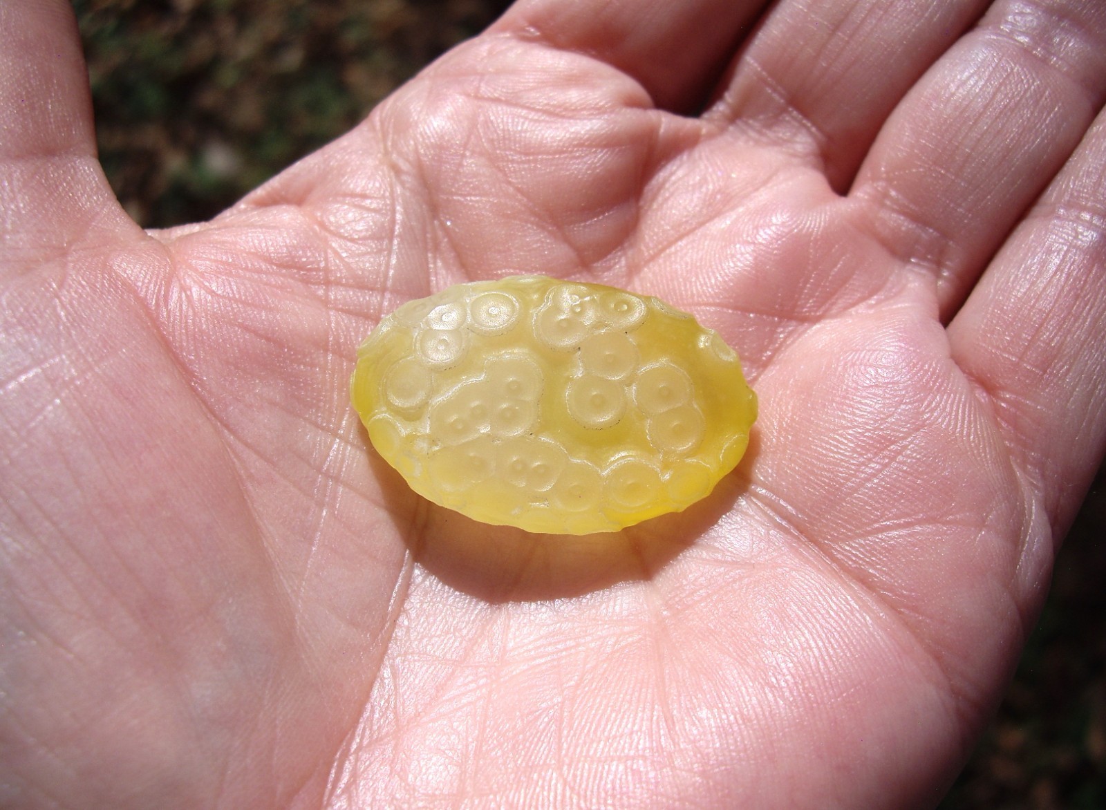 Natural Translucent Yellow Gobi Desert Agate “Gobi Stone” 10.5g