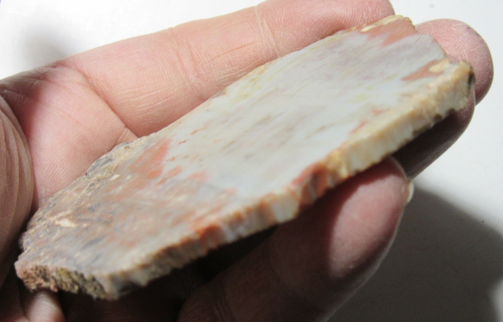 Fancy Indian Purple Jasper Rough 3 Inch Slice Collectible Reiki FIJ-1