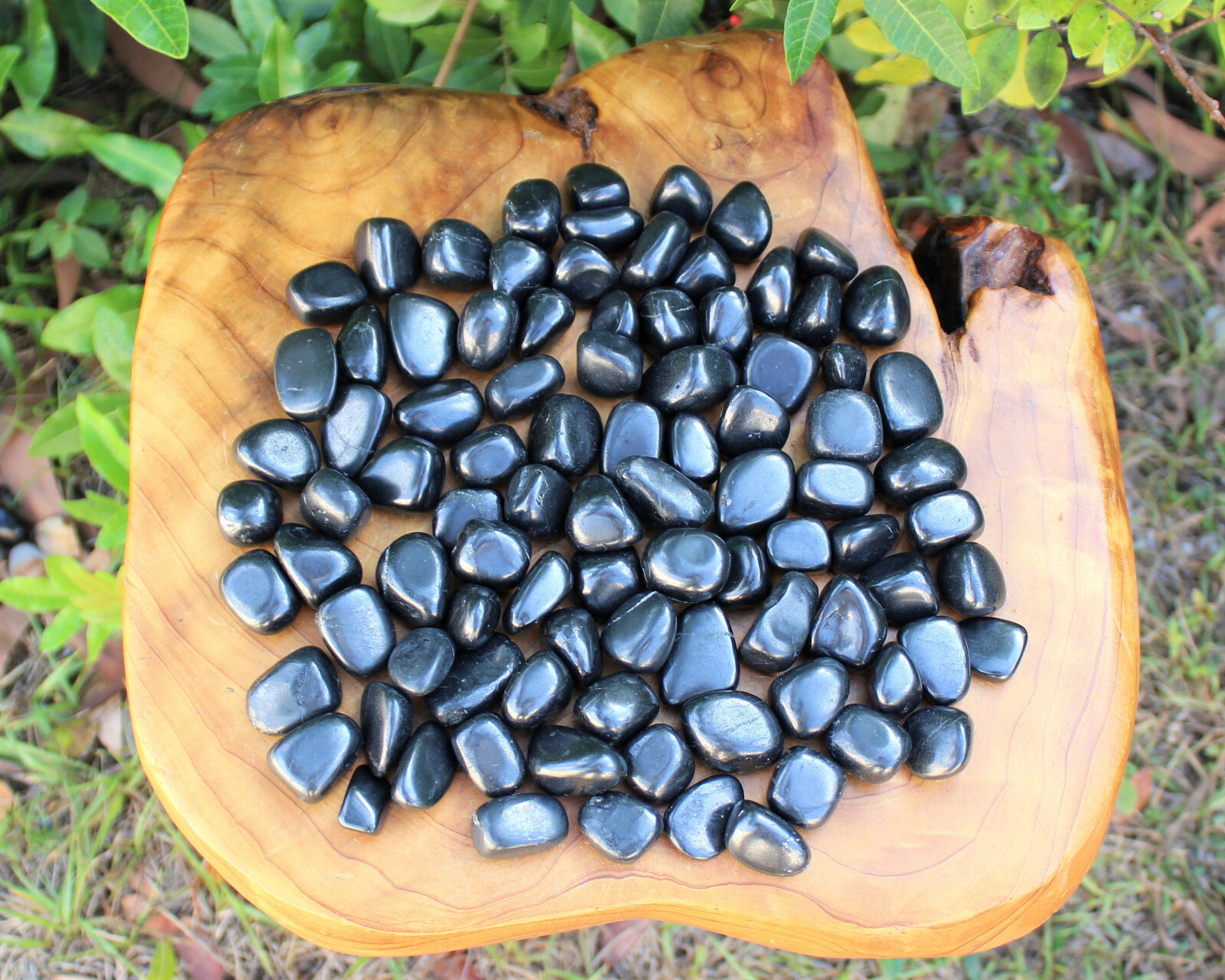 1 Shungite Specimen Tumbled Stone; Medium (Crystal Healing Gemstone Reiki)