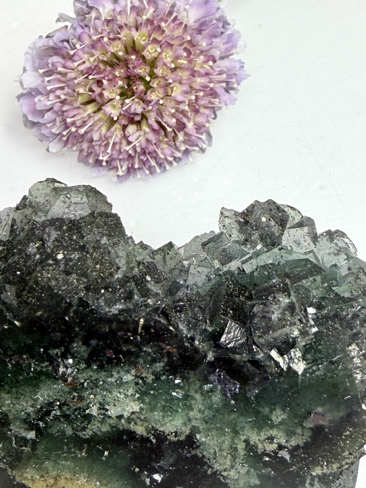 Wholesale 2 Lbs Blue Cubic Fluorite With Pyrite Tower Natural Crystal Energy
