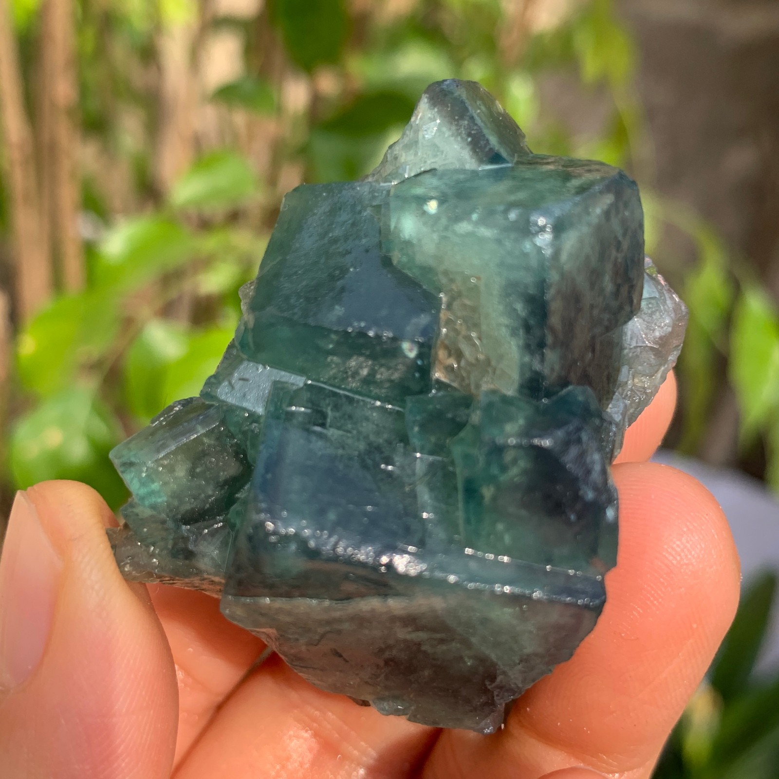 88g Natural Green FLUORITE Quartz Crystal Cluster Mineral Specimen