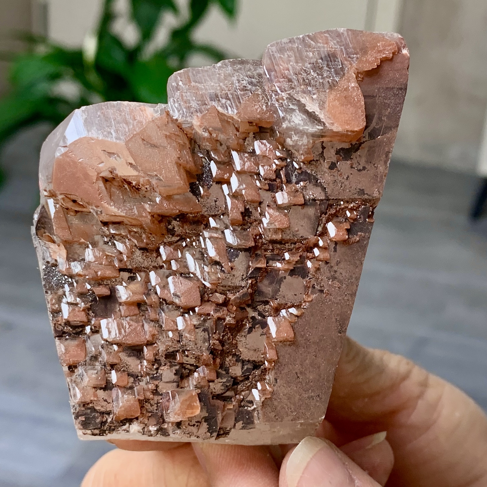 286G AAA+++ Rare NATURAL Red calcite Quartz Crystal Reiki Specimen Healing