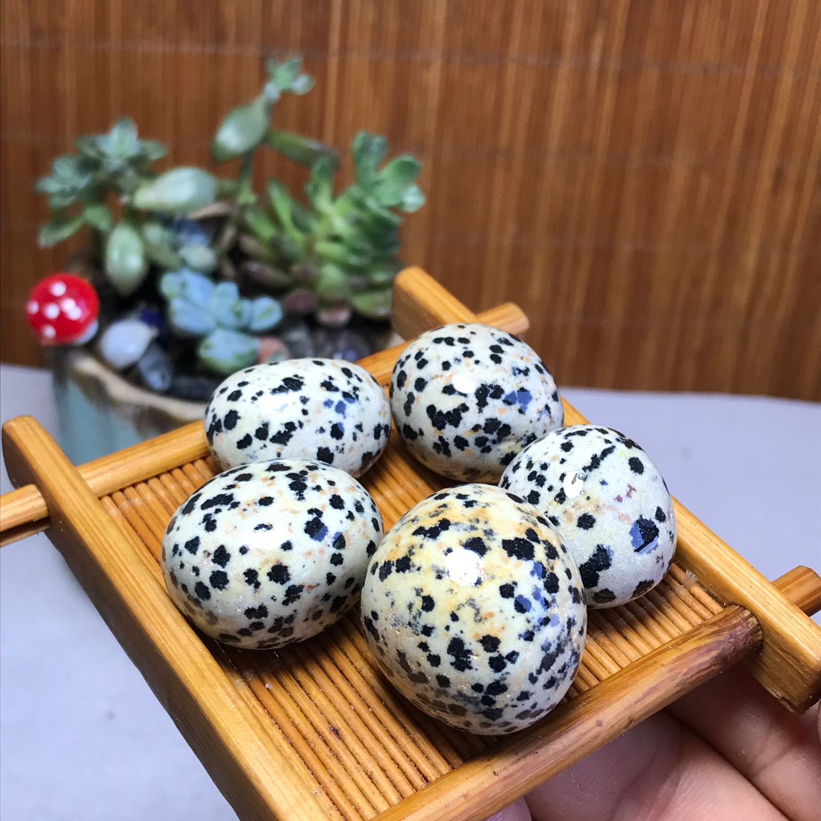 24-24-18mm 5Pcs Natural spotted stone Crystal gemstone Mineral Specimen A5717