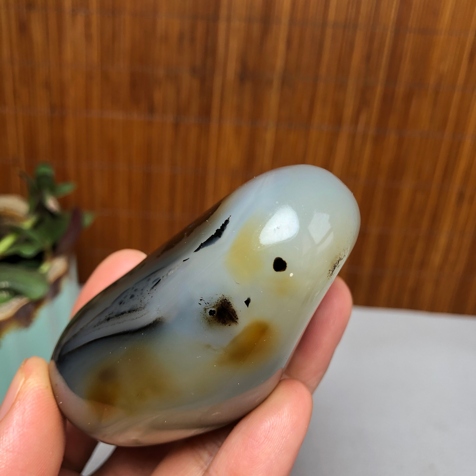 72mm Natural aquatic plants agate pretty Crystal specimens 167g A9995