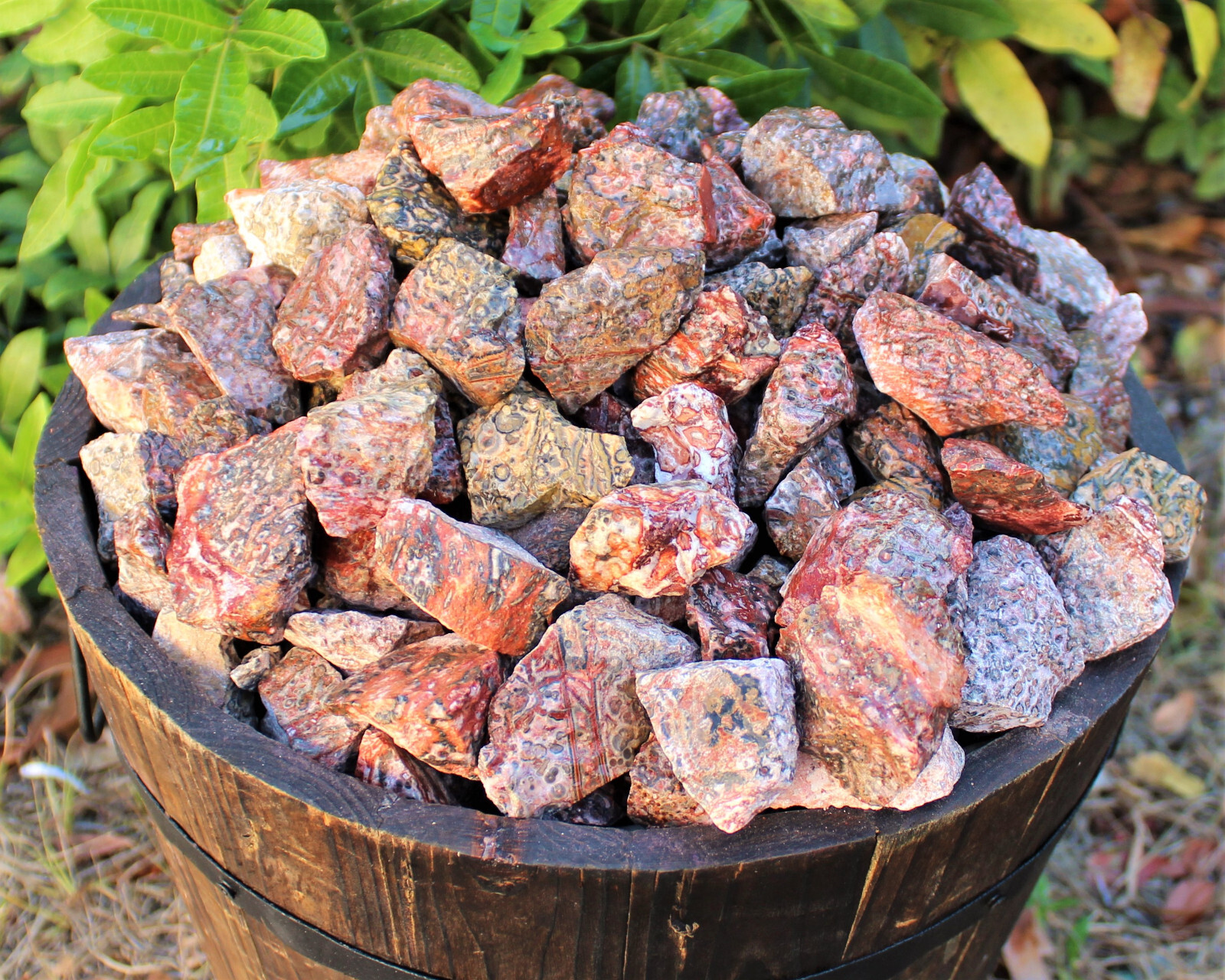 Leopard Skin Jasper Rough Natural Stones Bulk lots (Raw Leopard Skin Jasper)