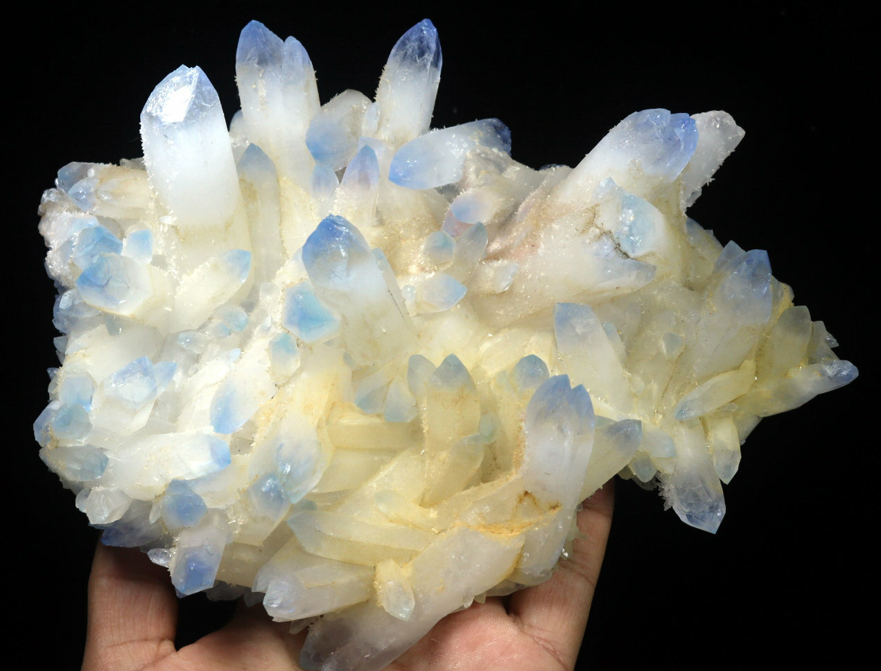 2.45 lb Rare Beatiful Blue Tibetan Ghost phantom Quartz Crystal Cluster Specimen
