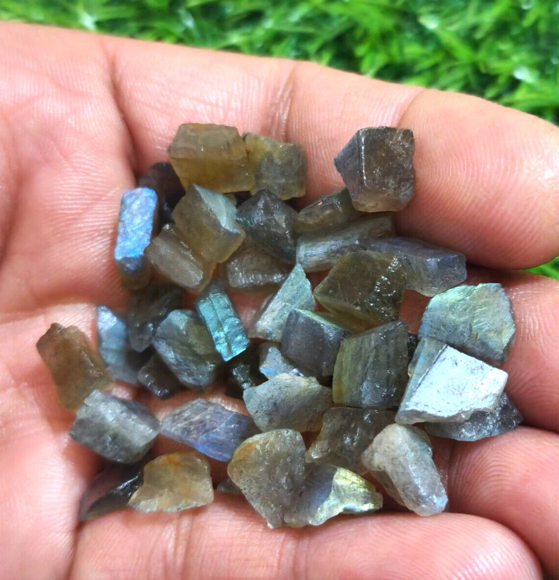117 Crt Excellent Rare Multi Fire Labradorite Rough Size 8-11 MM Loose Gemstone