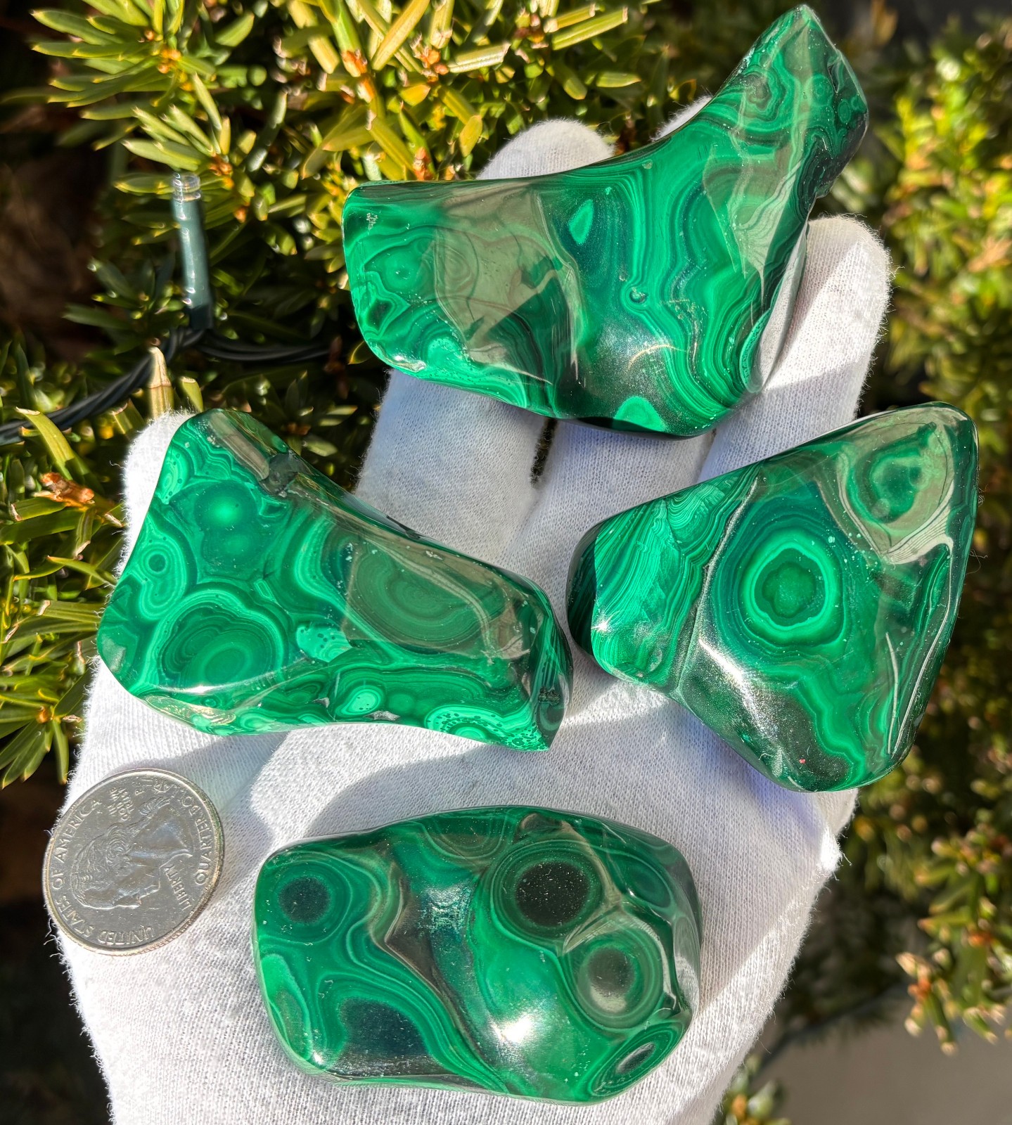 USA SALE 402g LOT MALACHITE POLISHED XL TUMBLE PALMSTONE SIZE PALM STONE STONES