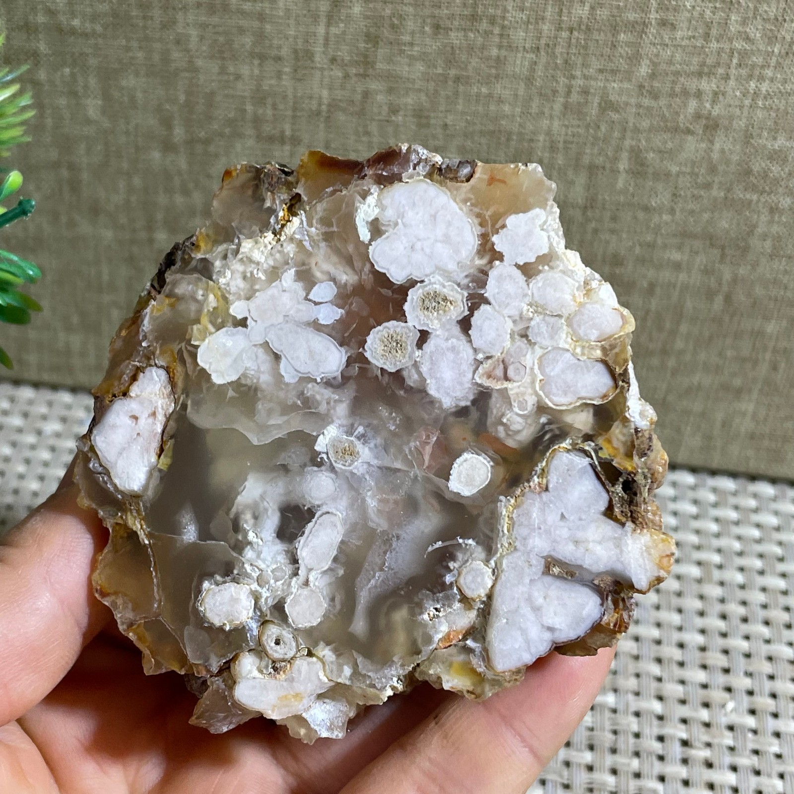 Sakura Agate Blossom Facet Rough Specimen Madagascar 183g ba10