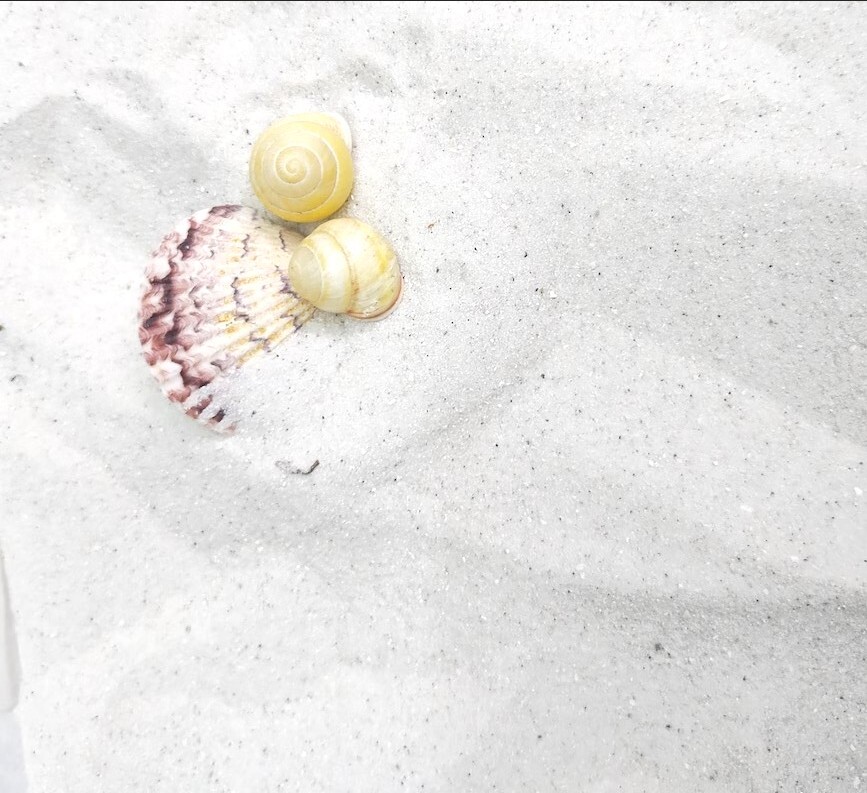 5 lbs. Natural White Beach Sand, Arts and Crafts, Landscaping, DIY Projects