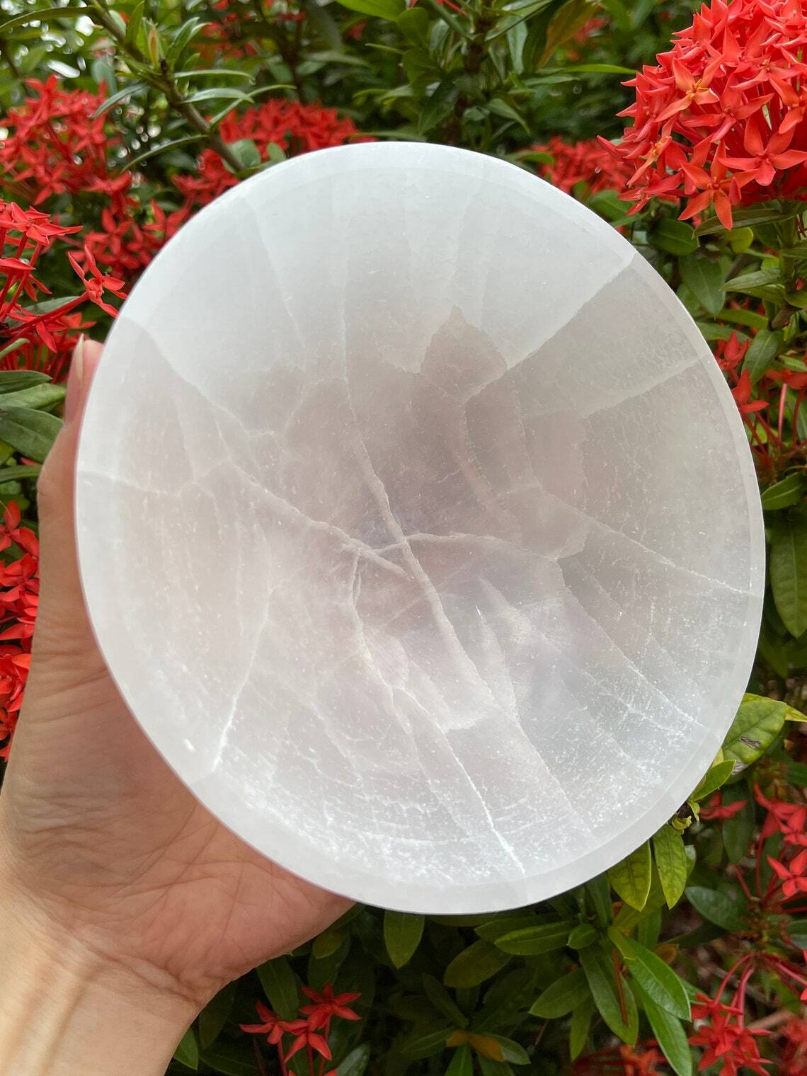 Gemstone Carved -3″,4″, 6″ & 8″ Diameter SELENITE Crystal Polished Charging Bowl