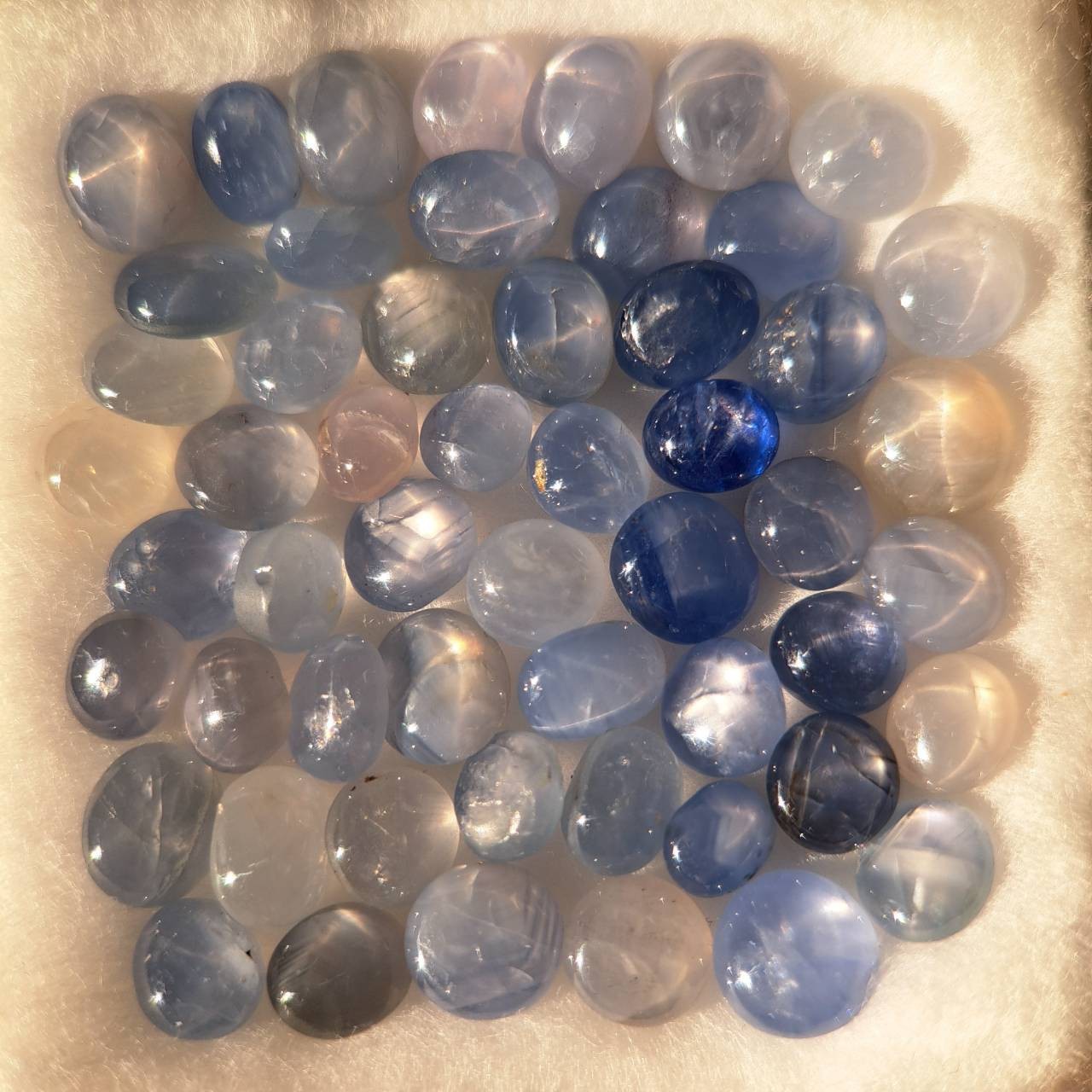 Natural Burmese Star Sapphire Mogok Lot 54pcs Blue Cabochon 55ct
