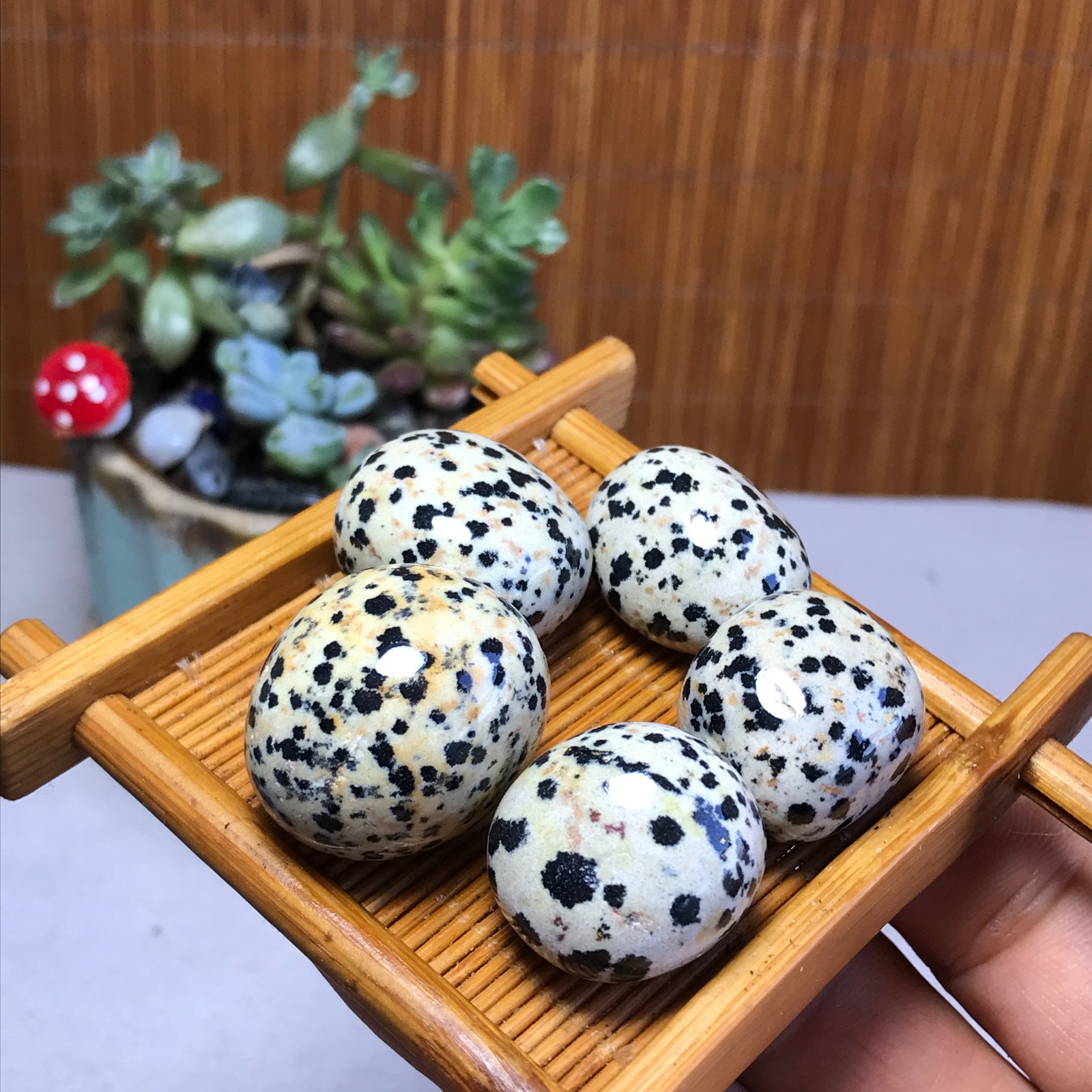 24-24-18mm 5Pcs Natural spotted stone Crystal gemstone Mineral Specimen A5717
