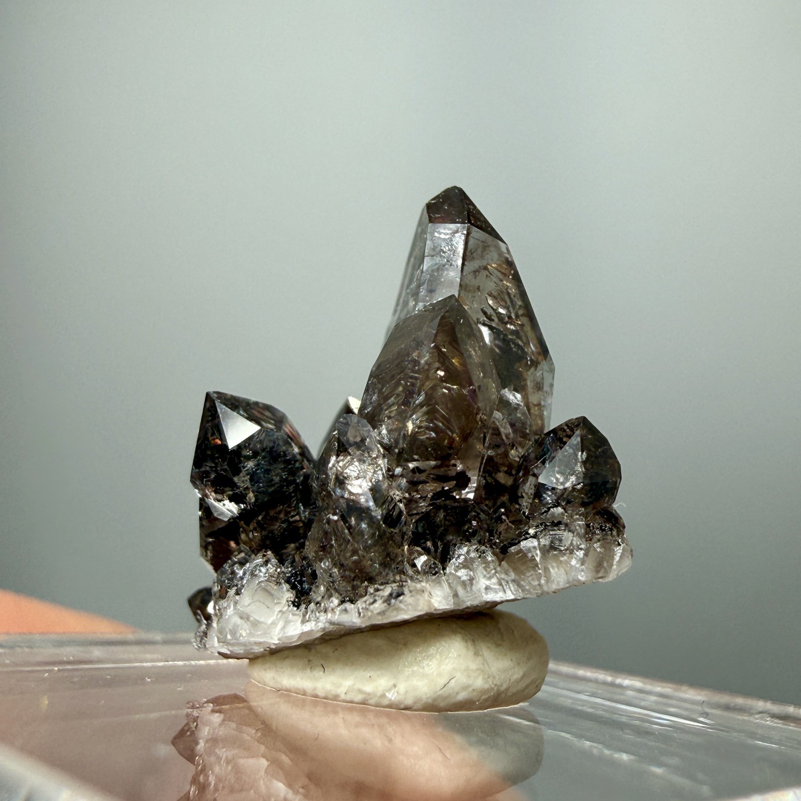 Herkimer Diamond Perched on Rare Black Druze, Gem Points w/ Phantoms
