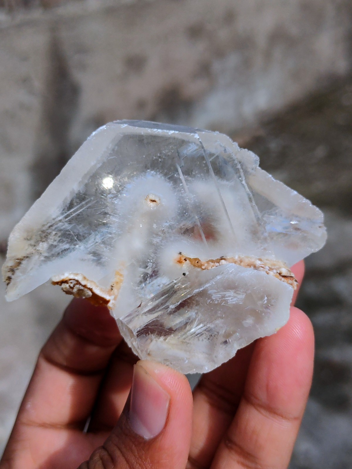 Okenite Tree 🌲 in Calcite. Phantom Calcite, Natural mineral specimen.