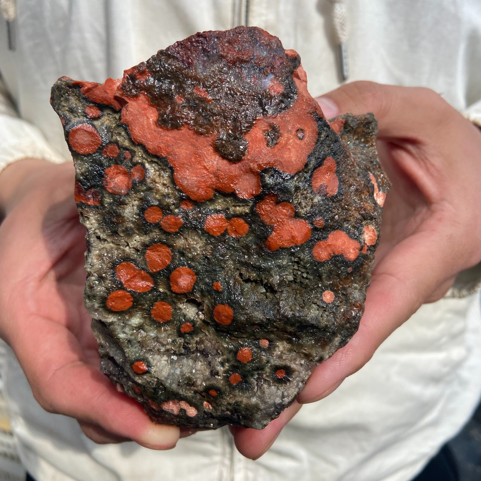 875G Rare Natural Raw Ocean Jasper Rough Quartz Crystal Mineral SpecimeM
