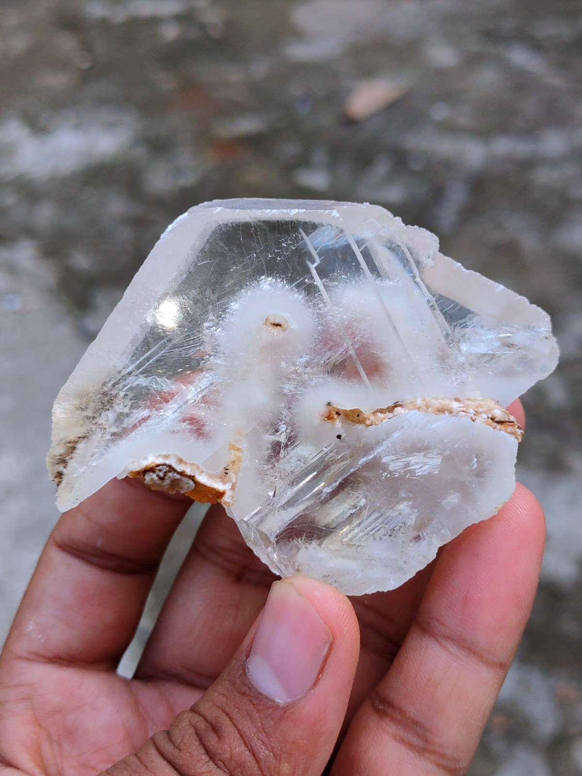 Okenite Tree 🌲 in Calcite. Phantom Calcite, Natural mineral specimen.