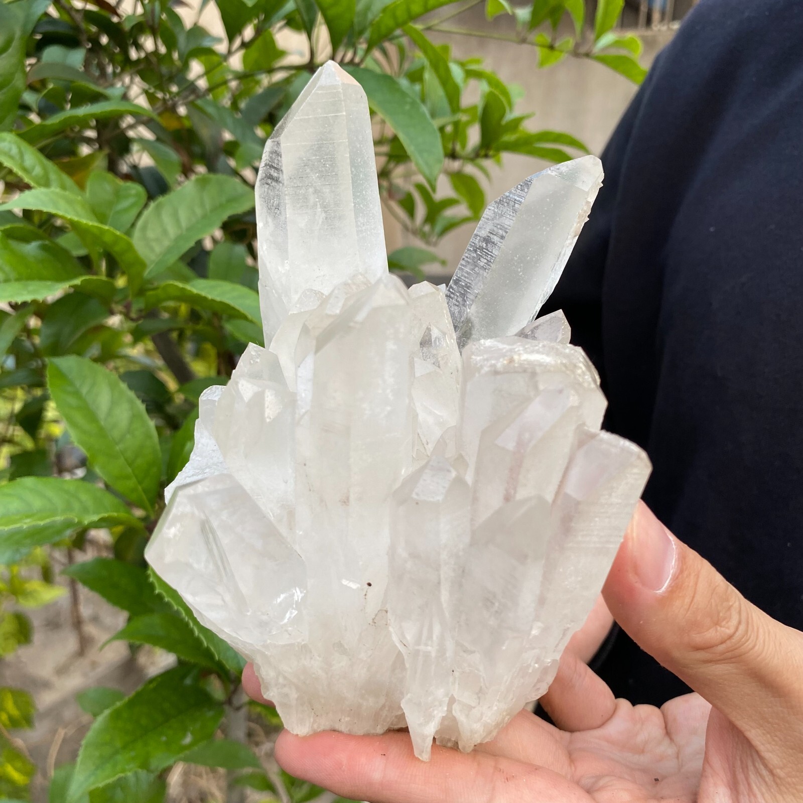 2.4lb Natural Clear White quart Crystal Cluster Raw Healing Specimen
