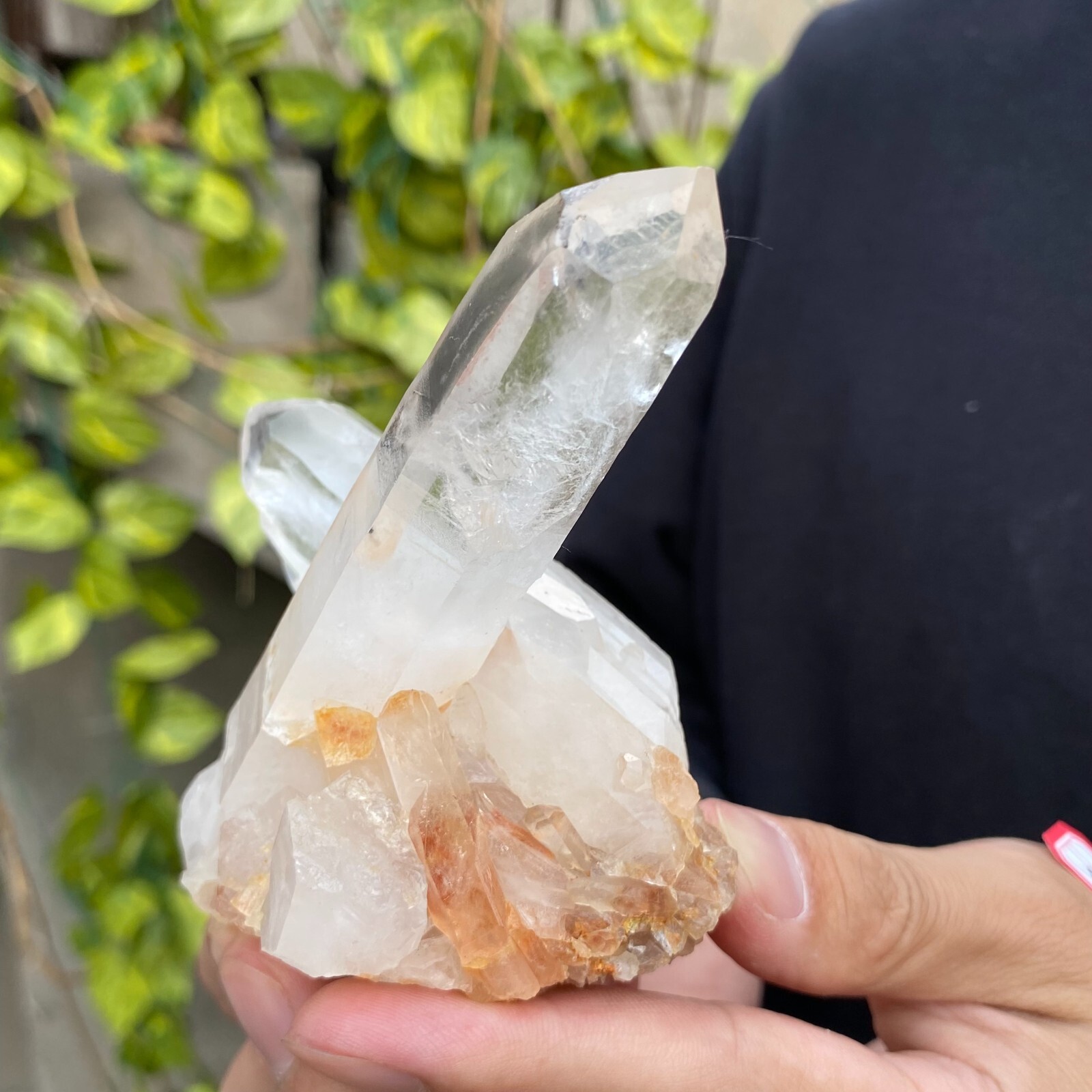 0.6lb Natural Clear White quart Crystal Cluster Raw Healing Specimen