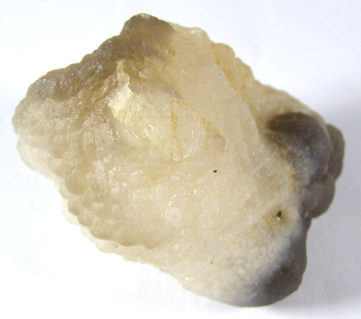 LARGE NATURAL TRUFFLE CHALCEDONY SPECIMEN – MOROCCO 5.5 x 3.5 cms 85 gms