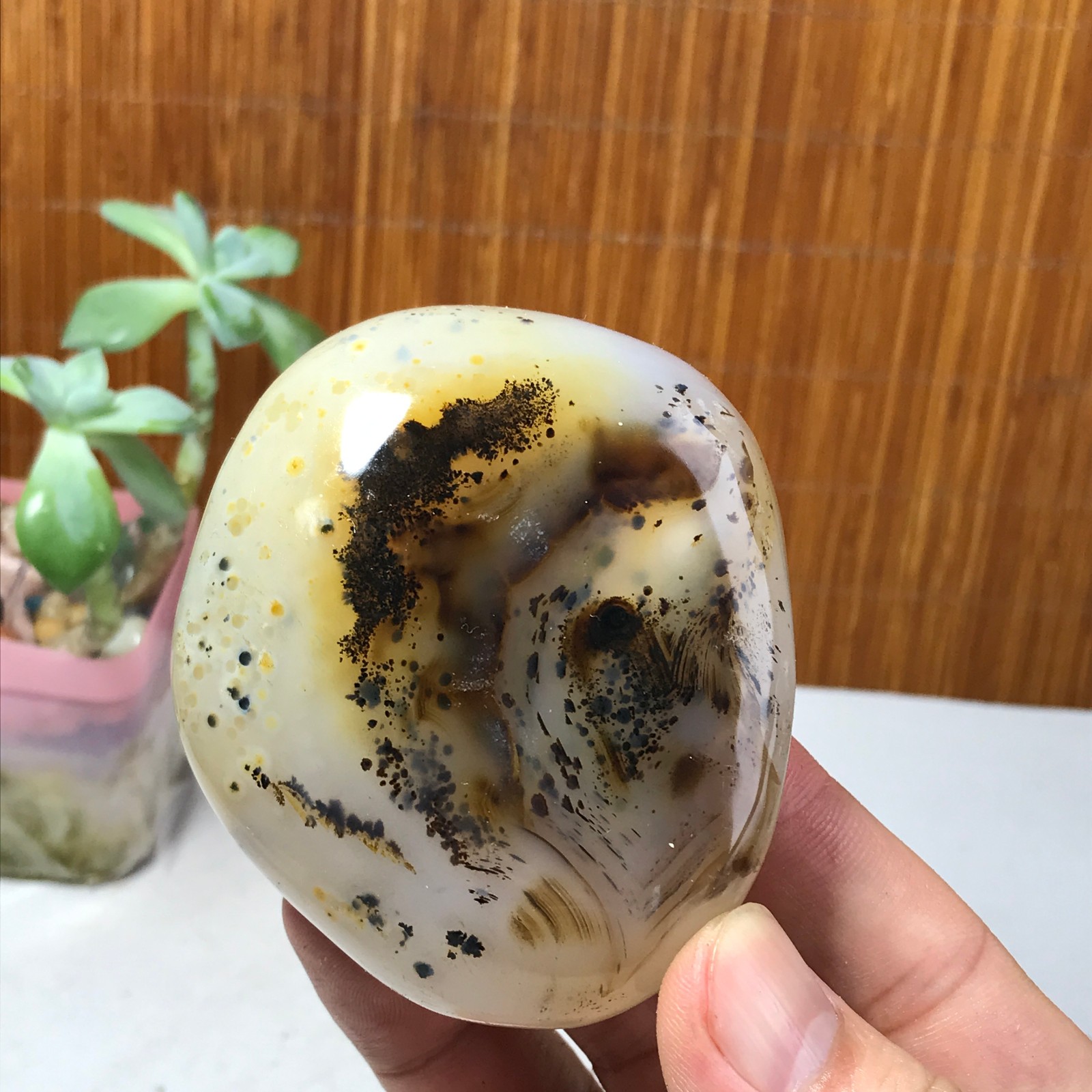 71mm Natural aquatic plants agate pretty Crystal specimens 210g A1637