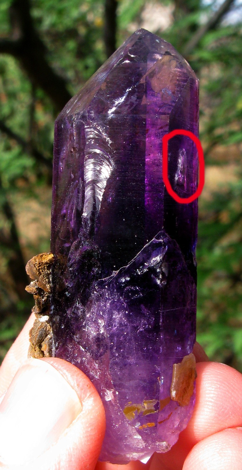 AMETHYST ENHYDRO Natural Crystal Point 2x Moving Water Bubble BRANDBERG Lemurian