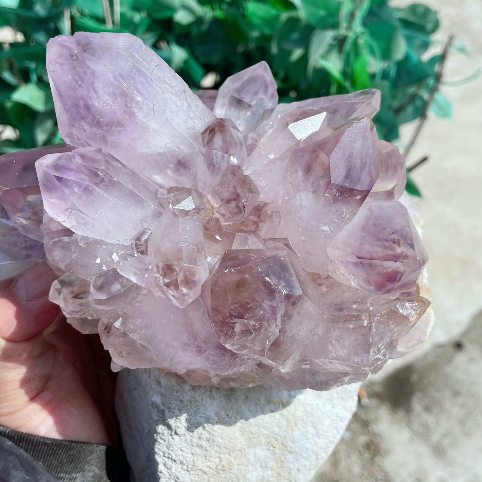 ALL 10.3LB Natural Amethyst Quartz Cluster Crystal Mineral Point Healing C2641