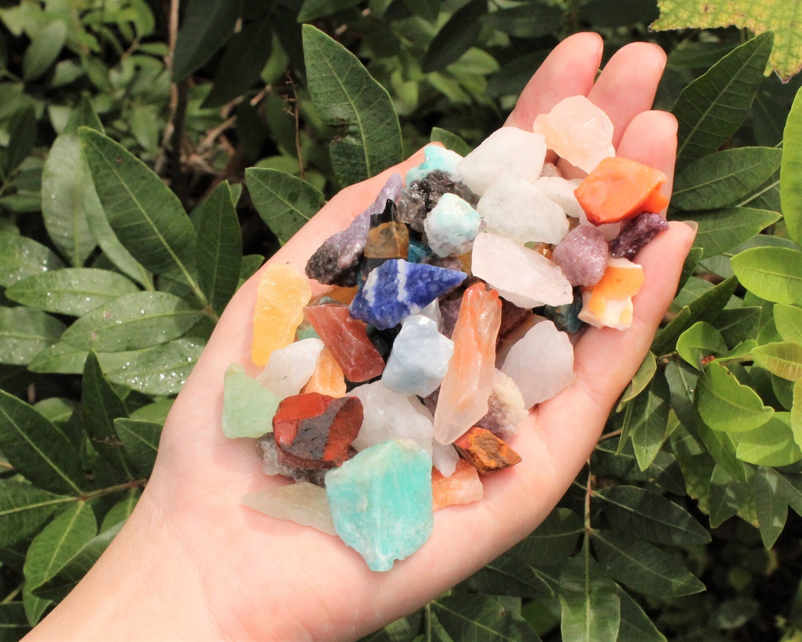 20 lb Wholesale Assorted Rough Gemstone Chips Box – CRAZY CHEAP Raw Crystals