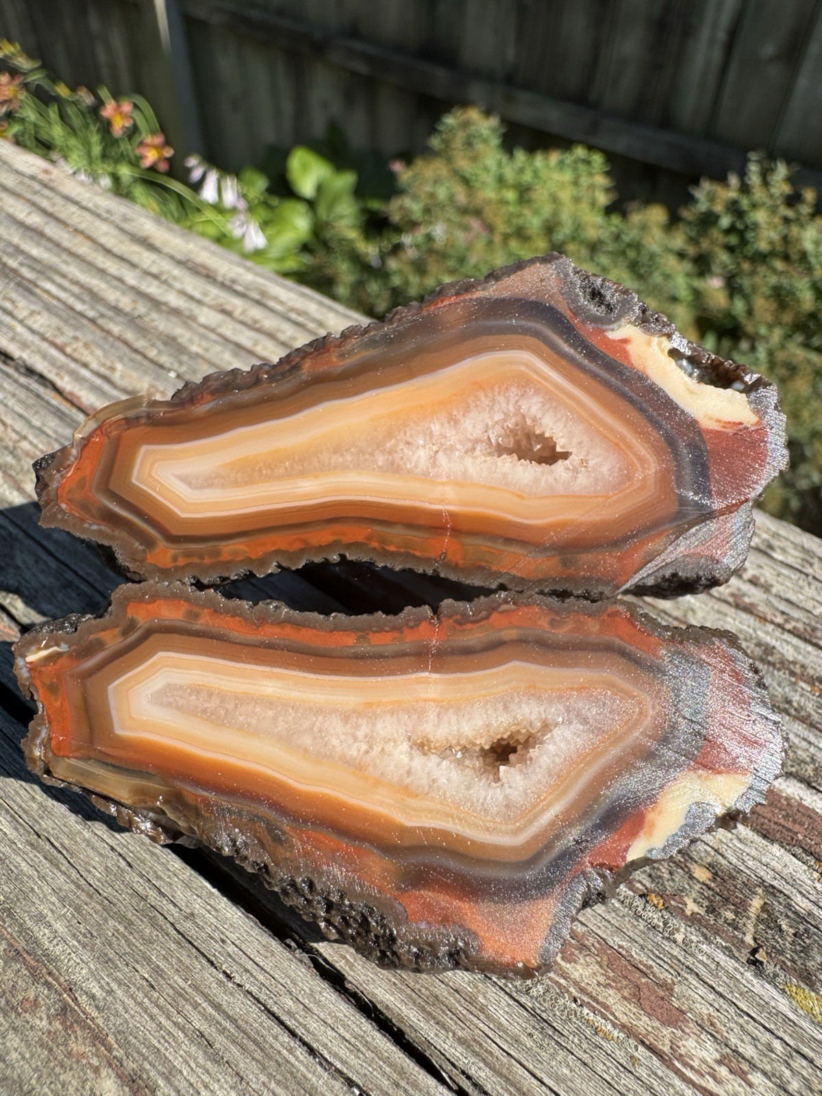4.4oz Sumatran Agate *Rough Cut Natural Gemstone Collector Specimen ✨