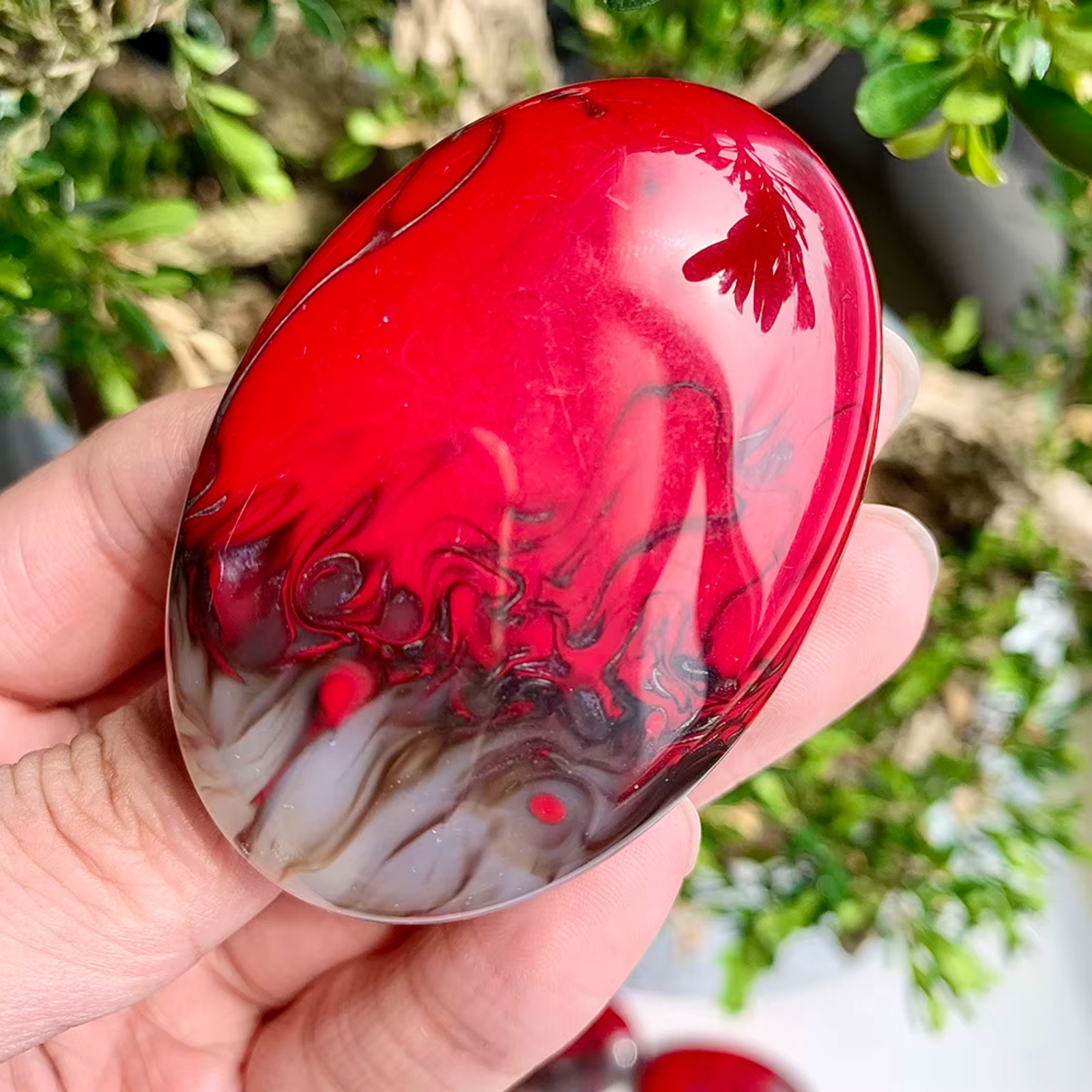 Natural Red Flame Agate Palm Stone Polished Healing Crystal Home Decor Gift