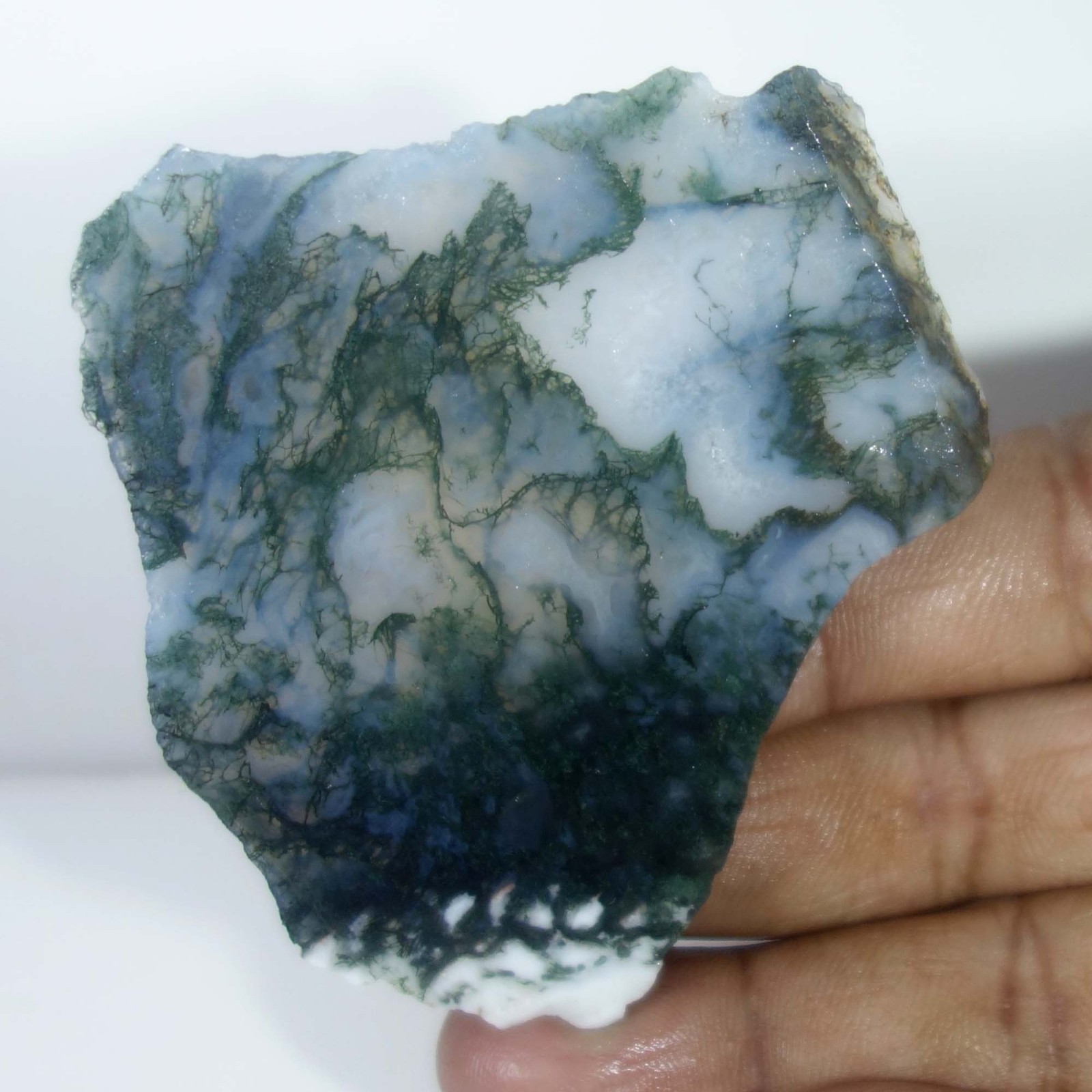 Seaweed Green Moss Agate Slice Slab Rough Natural Gemstone Loose 188.20 Cts