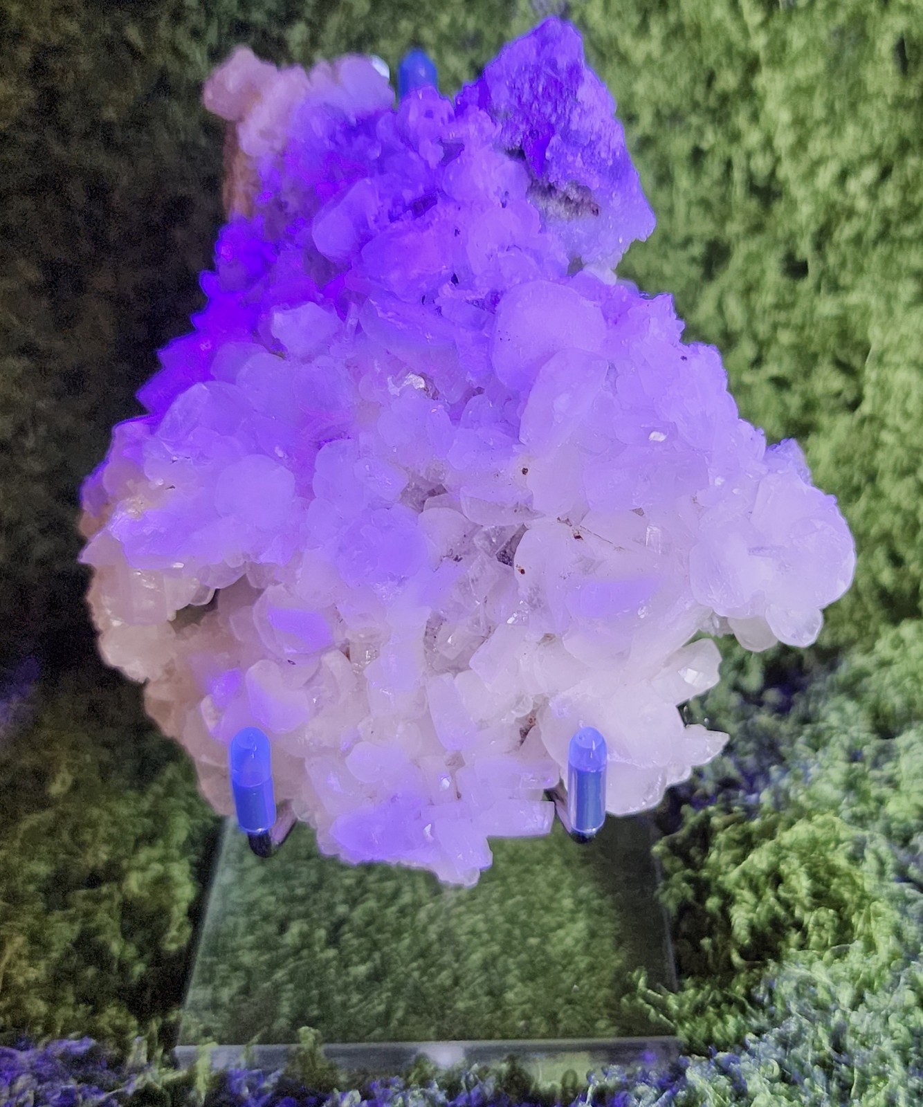 Coin Calcite Specimen-Mild UV-reaction