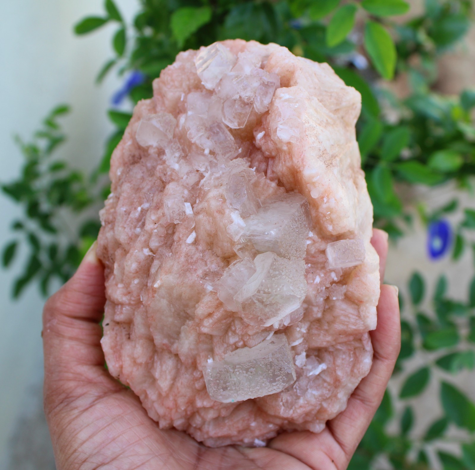 APOPHYLLITE CRYSTALS ON STILBITE NATURAL MINERALS SPECIMEN #A38