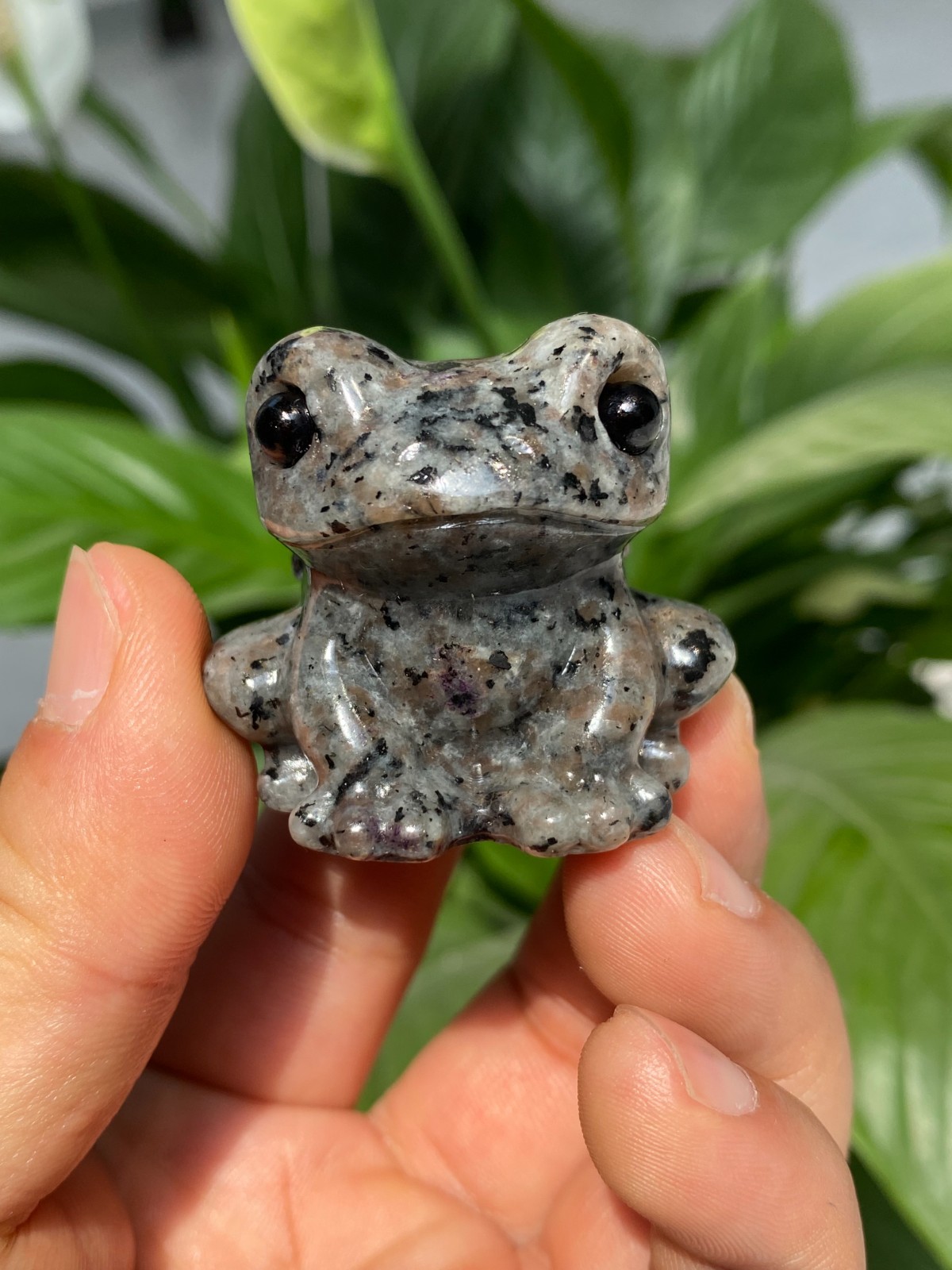 1pc Natural Yooperlite Quartz Carved Crystal Frog skull reiki healing gift Decor