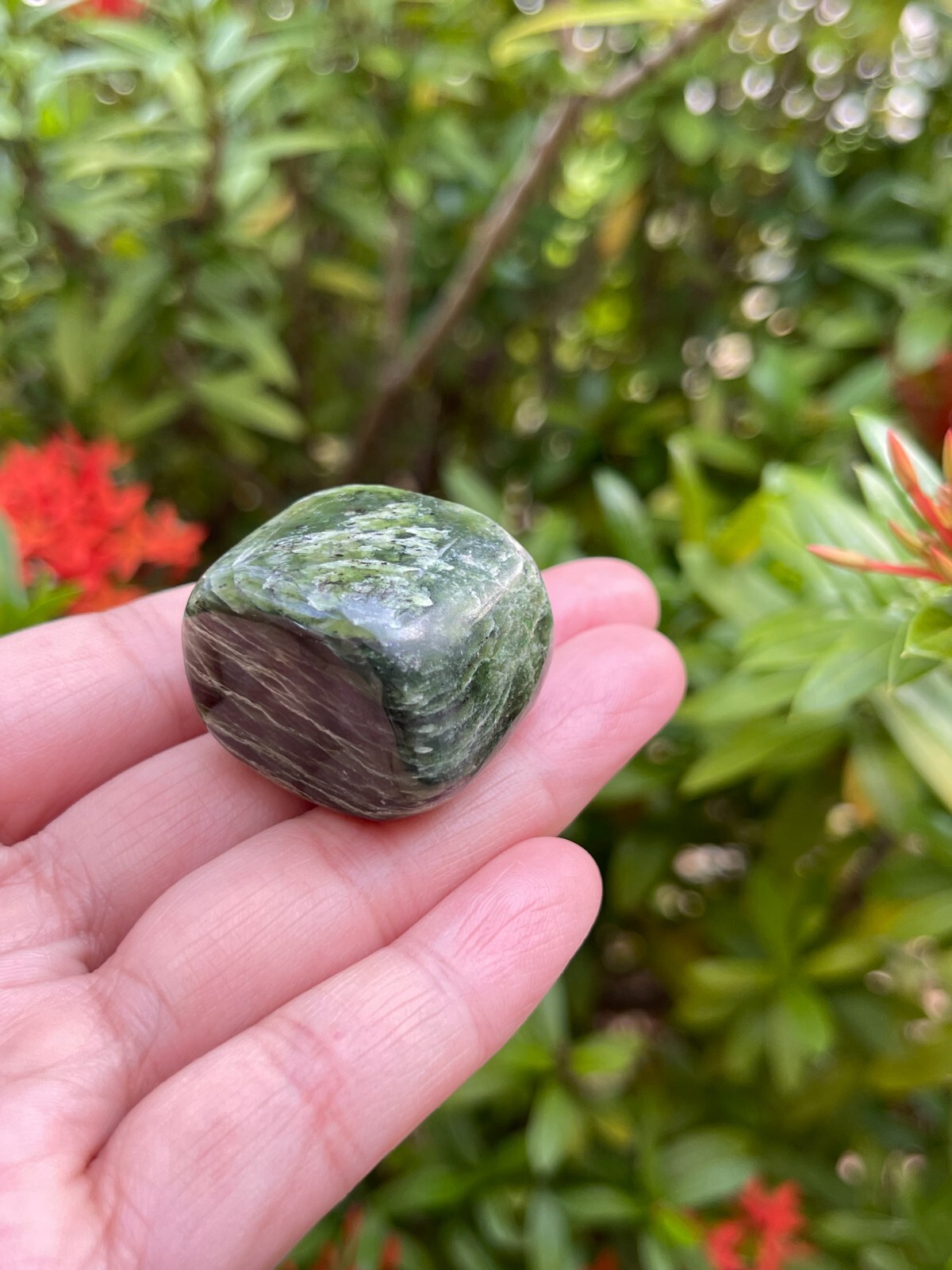 Nephrite Jade Tumbled Stones, 1-1.5 Inch Nephrite Jade Crystals, Healing Crystal