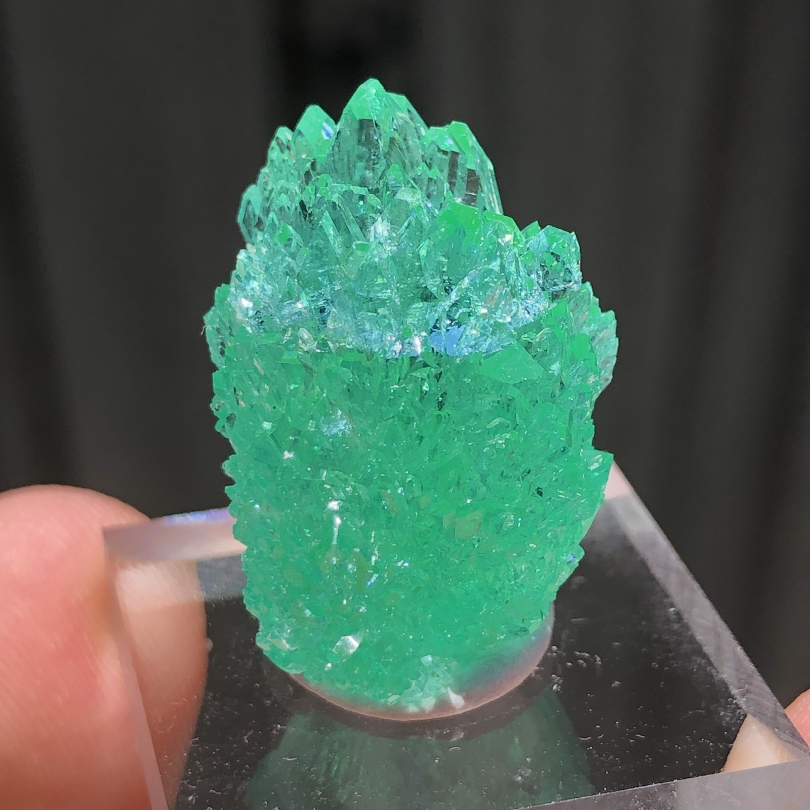 2.4cm Emerald Green Apophyllite Crystals with Stilbite from Madhya Pradesh, Indi