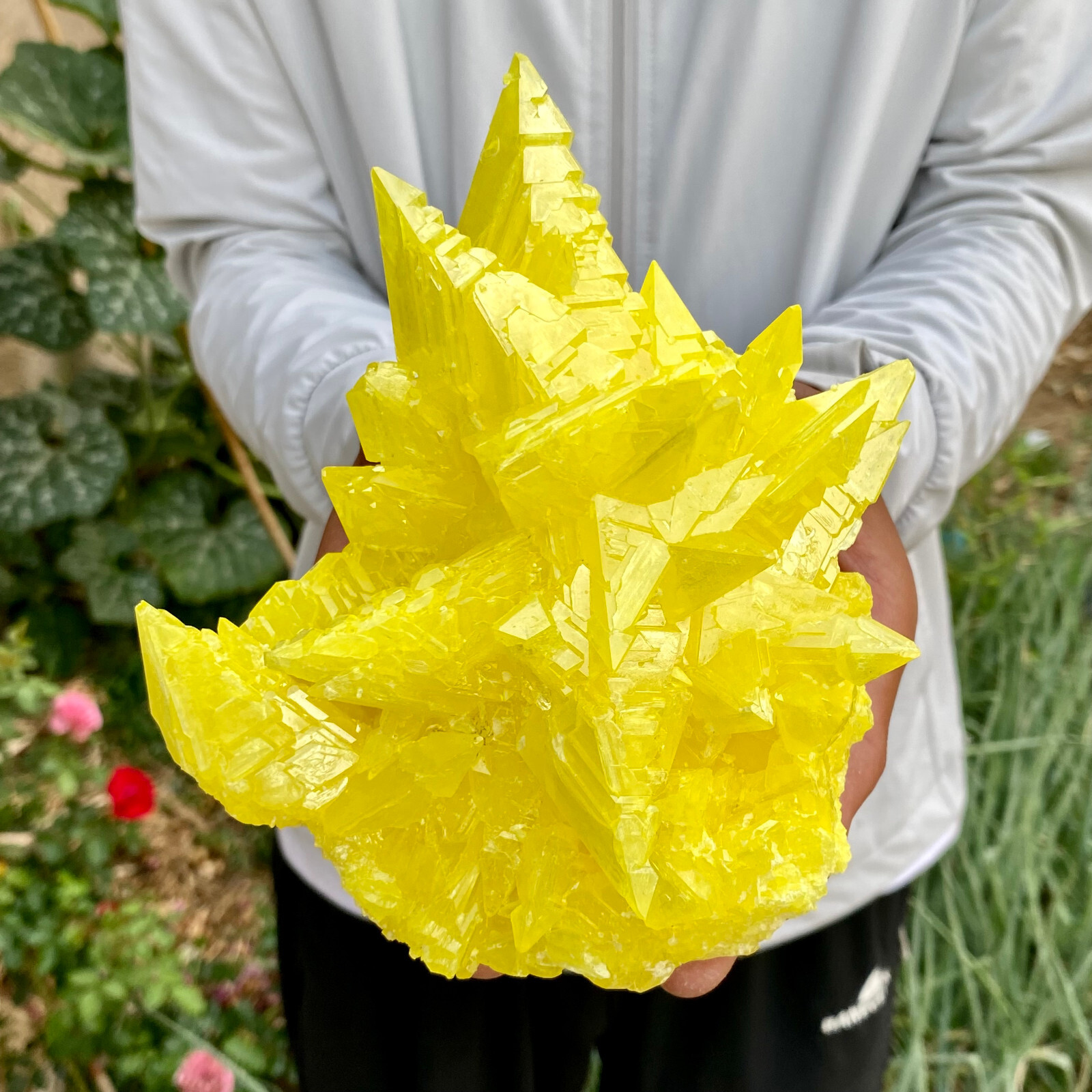 1.92LB Rare Natural yellow sulfur crystal quartz crystal mineral specimen