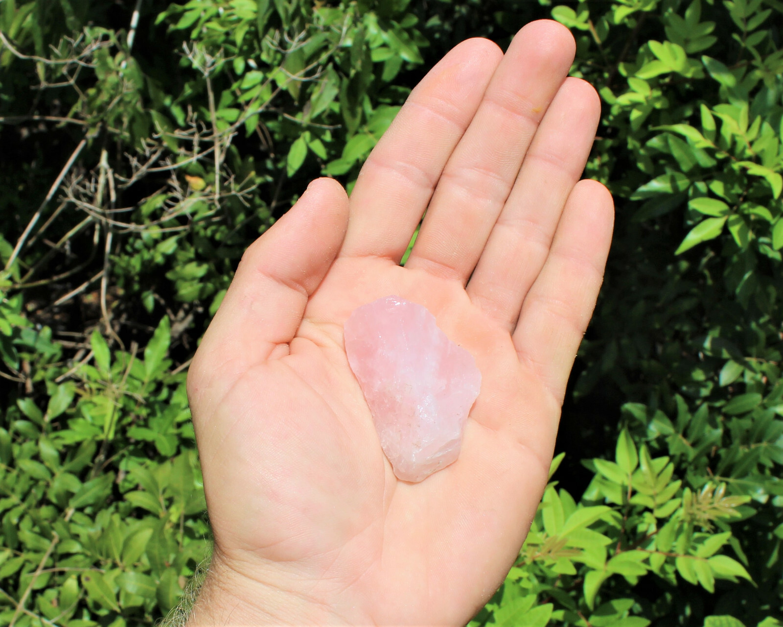 Mixed Rough Crystals: 9 Piece Starter Set, MEDIUM 1-1.5″