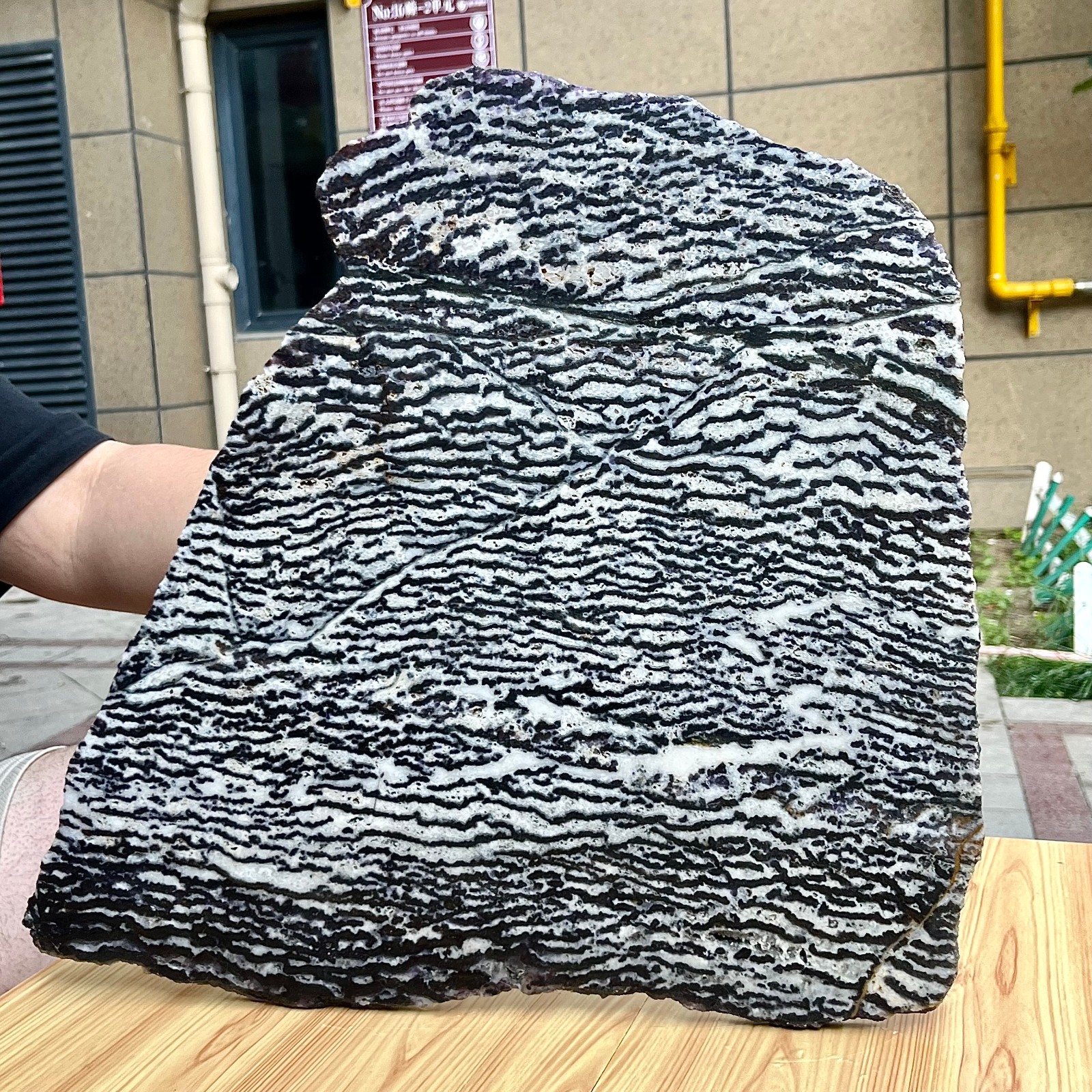 Zebra Stone Polished Slice Black White Stripe Mineral Specimen Display 9.9 lb