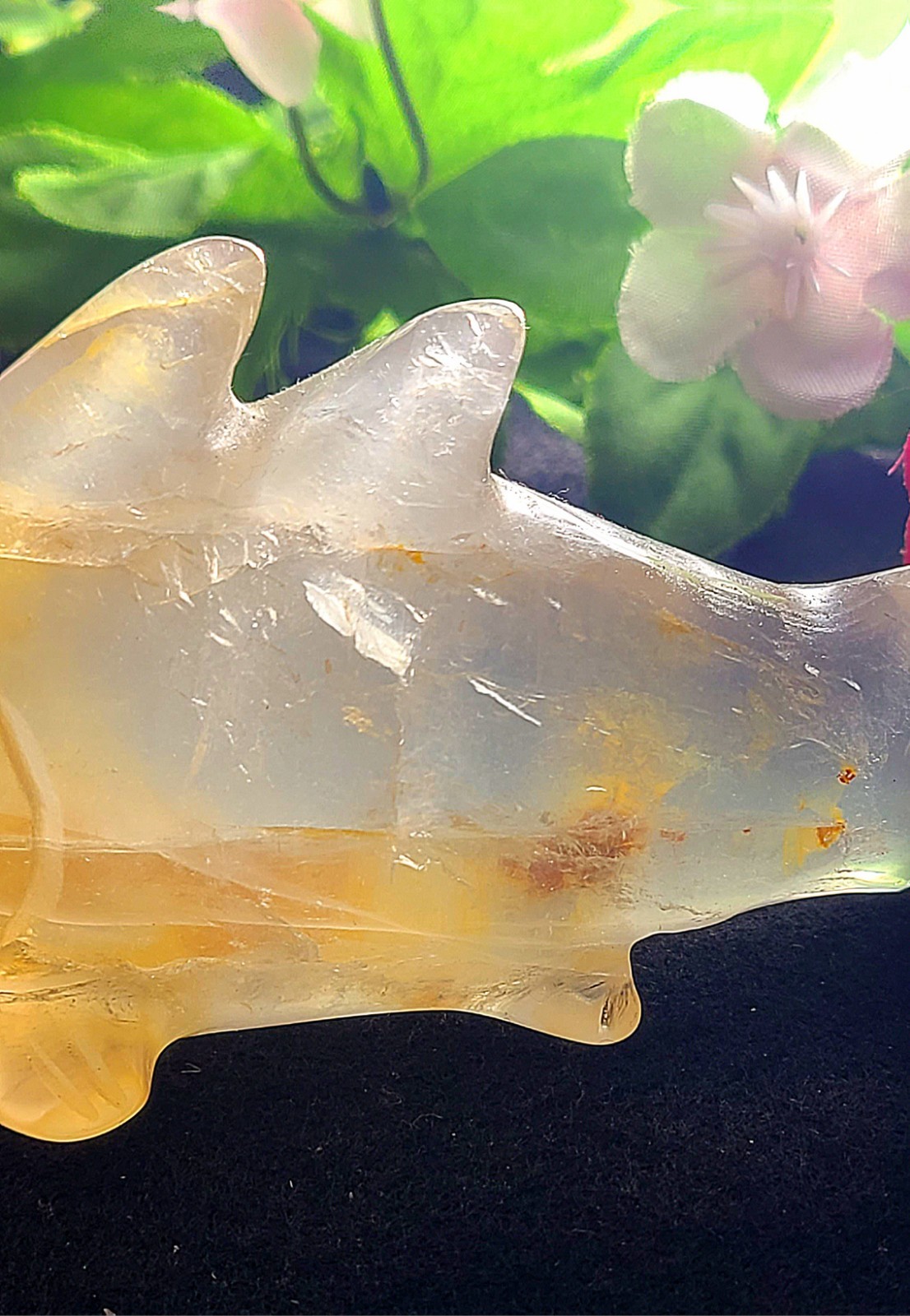 X Large 5.6″ Unique 252g Golden Healer Quartz Shark Sea Crystal Carving