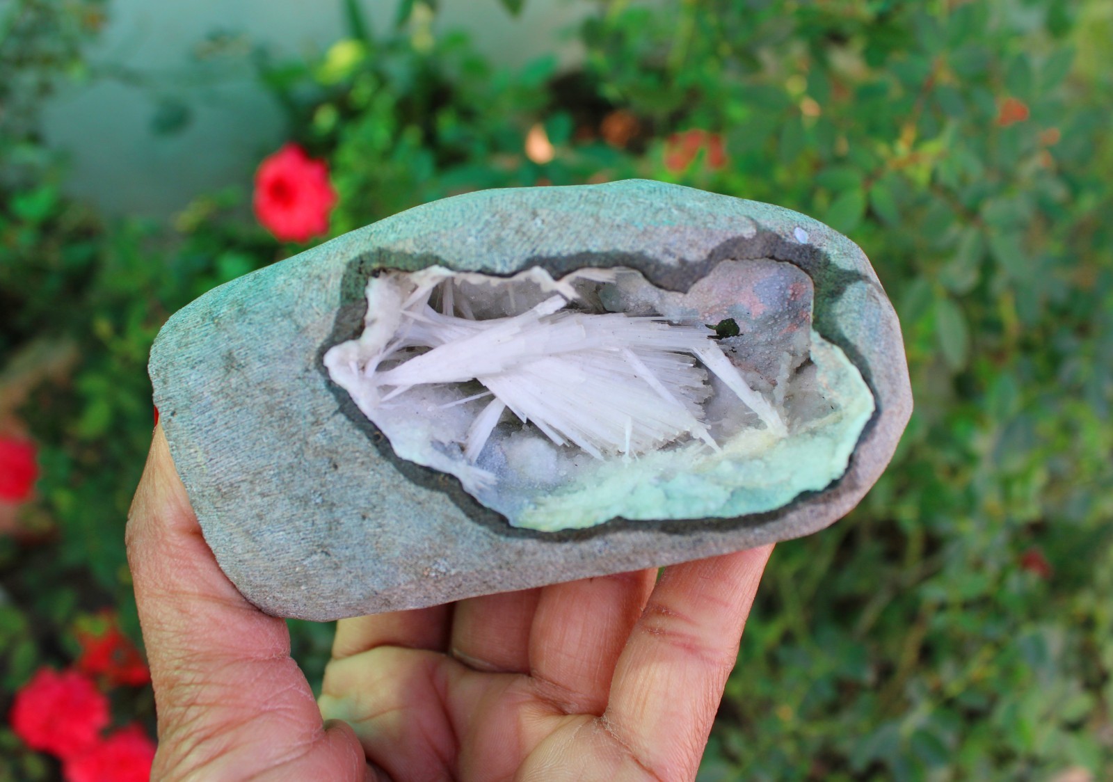 Scolecite Format In Geode Minerals Specimen#A9