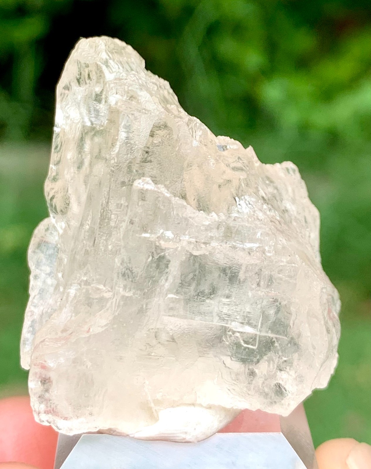 146 CT World Rarest Phenakite Crystal From Shengus Mine Rhoundu Skardu Pakistan
