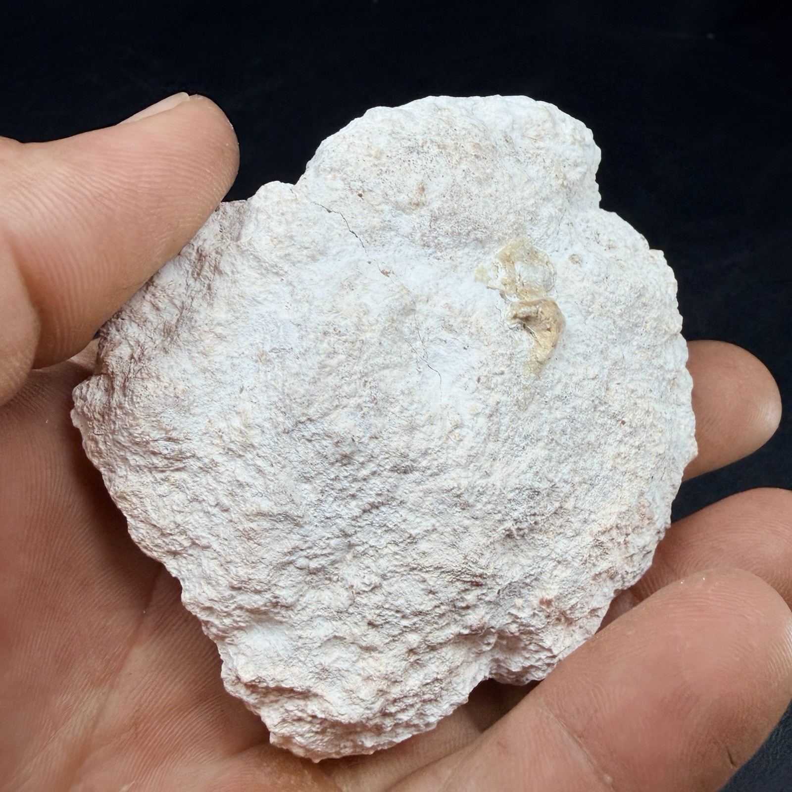 Pink Amethyst Quartz Crystal from Geode Patagonia, Argentina *Video*