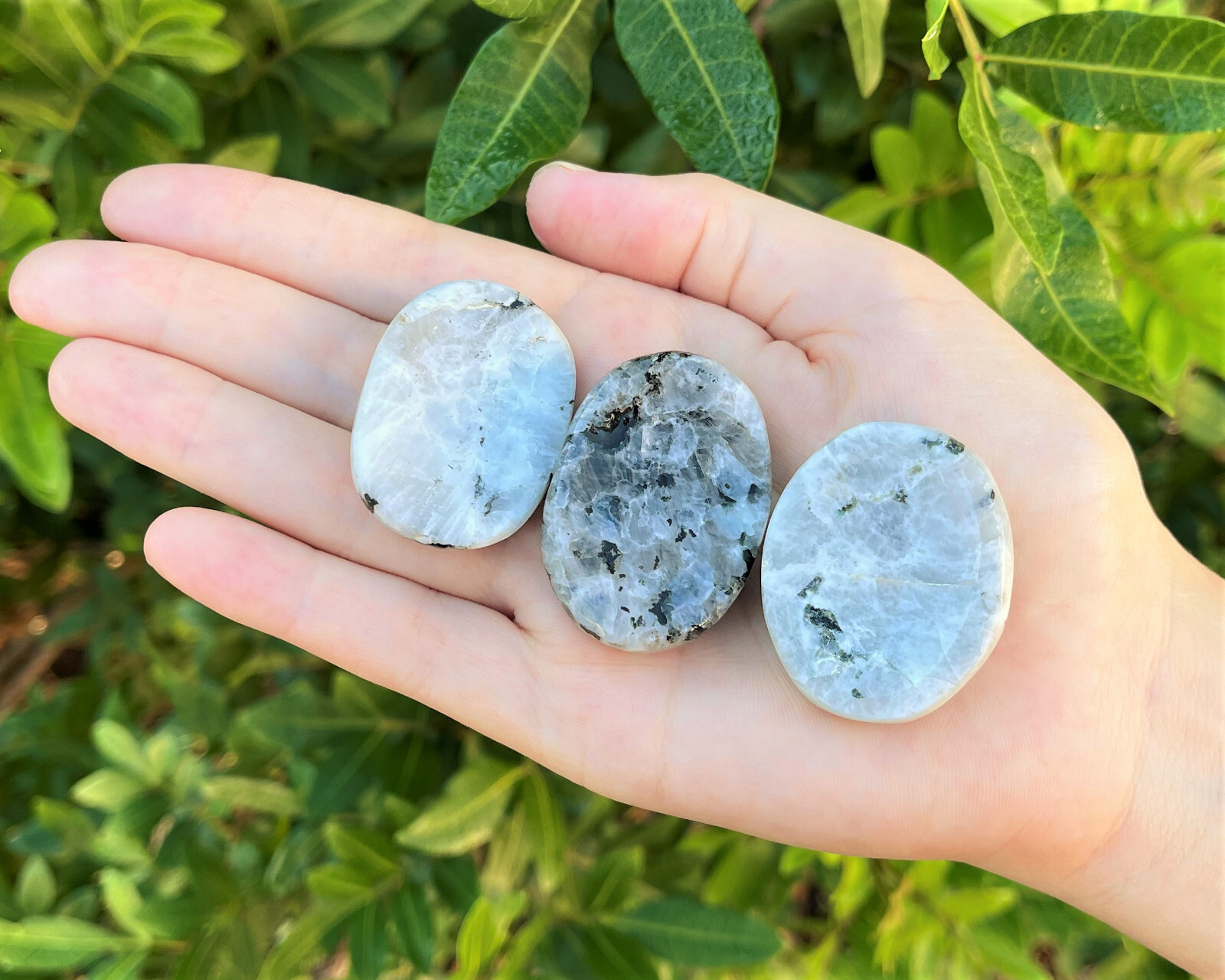 Rainbow Moonstone Worry Stone (Smooth Polished Rainbow Moonstone Palm Stone)