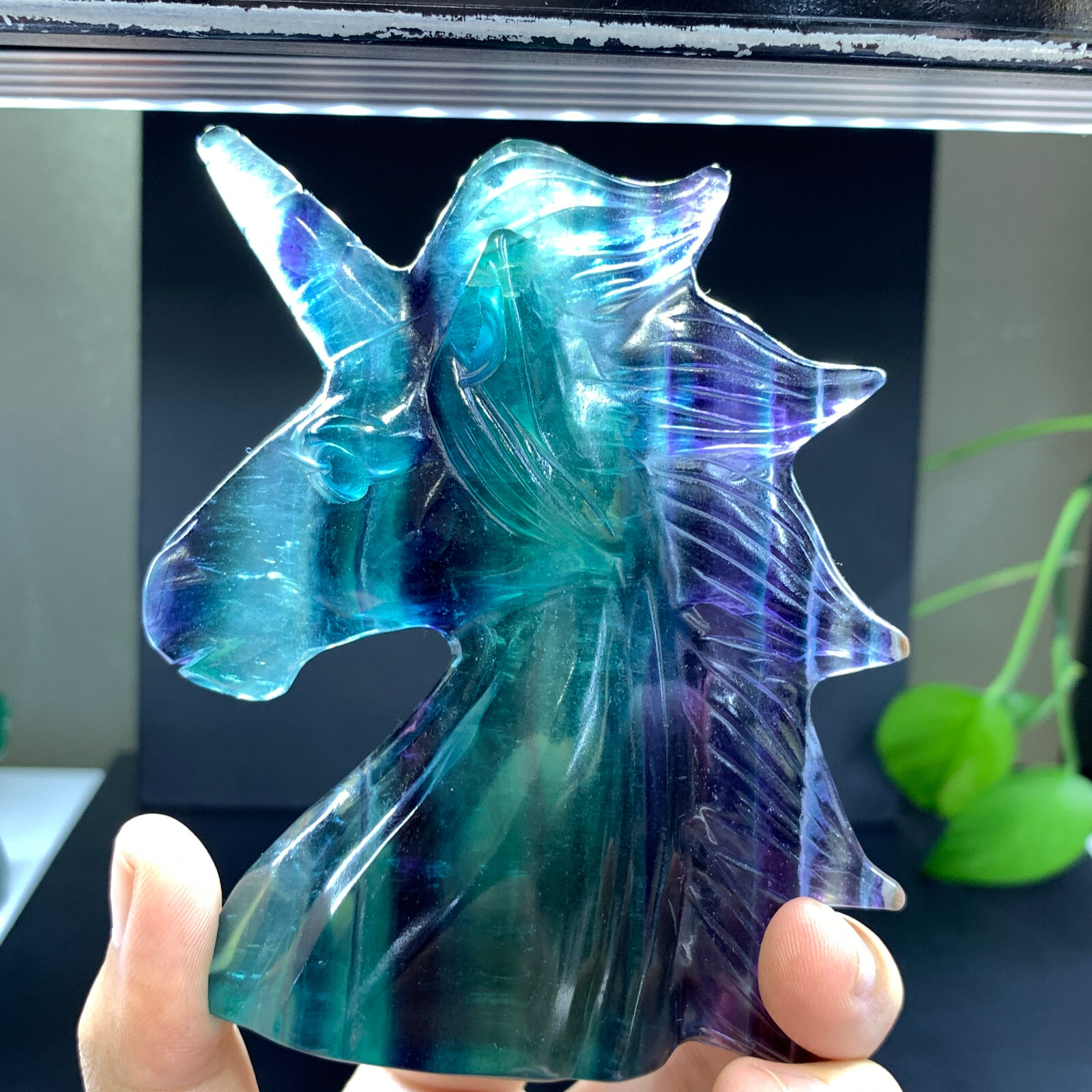 TOP Natural Color Fluorite Quartz Carved Unicorn Skull Healing Gem Decor Gift