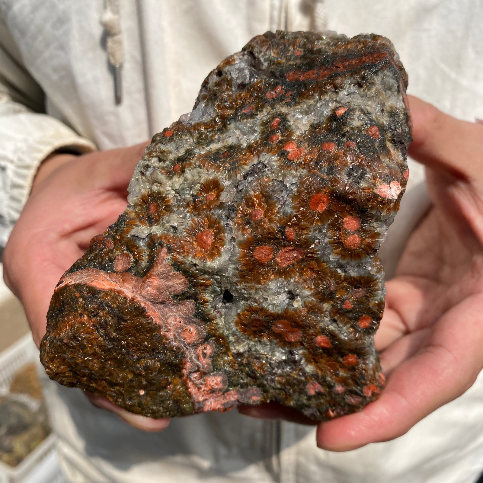 2lb Raw Natural colourful ocean jasper quartz crystal rough mineral specimen