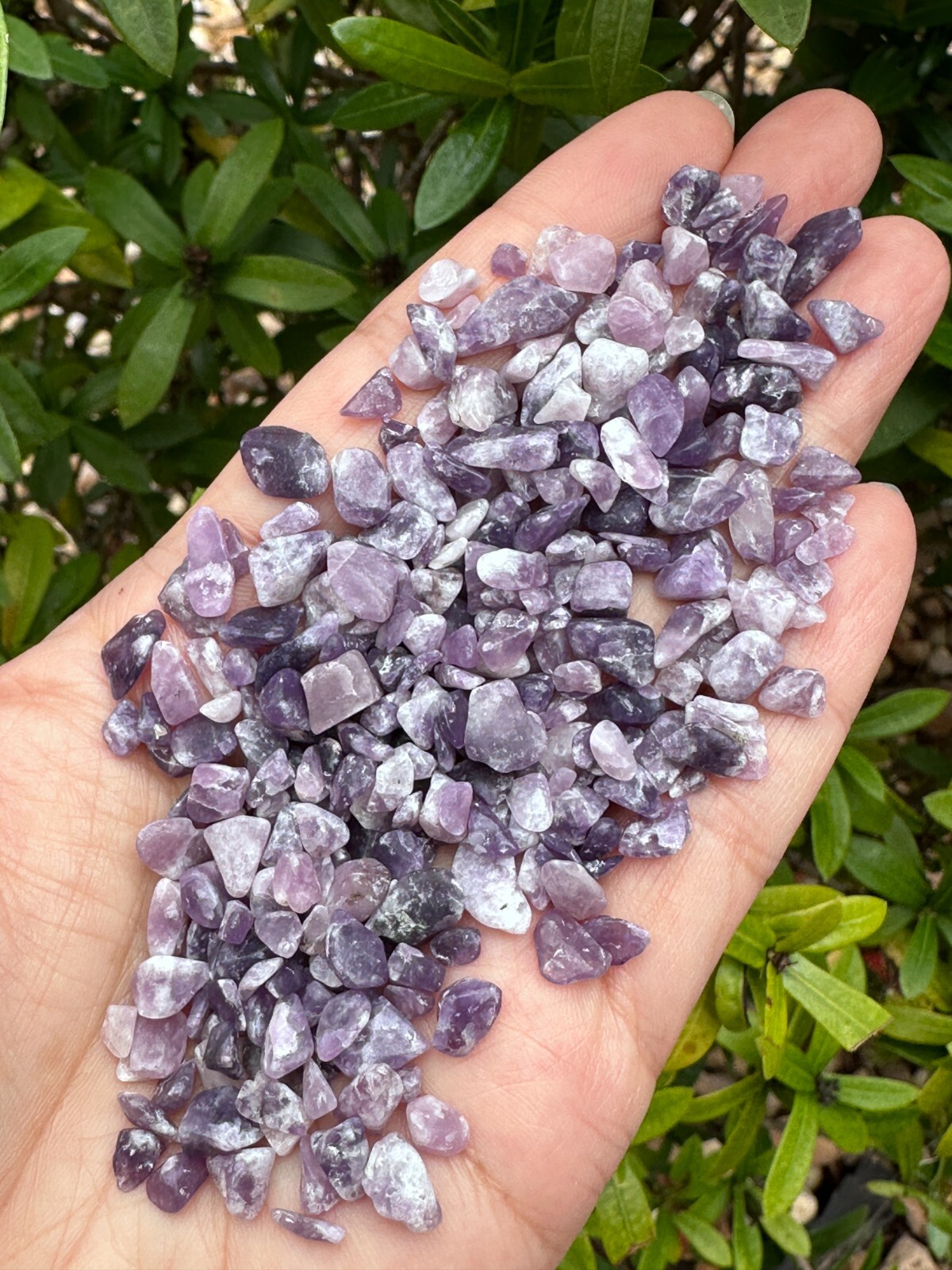 Lepidolite Semi Tumbled Gemstone Mini Chips 4 – 12 mm, Wholesale Bulk Lot