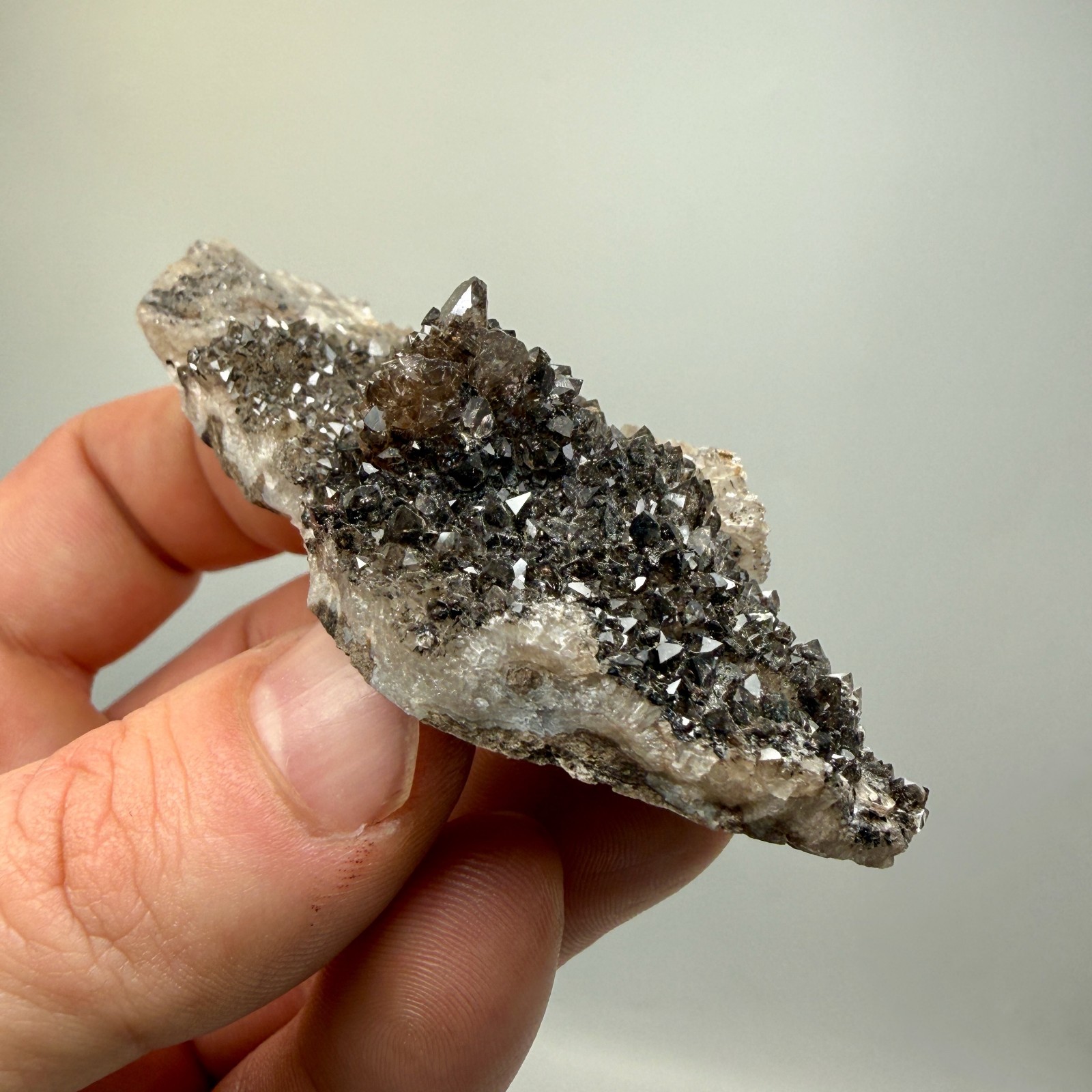 Black Druze with Hydrocarbon Phantom Percher Herkimer Diamonds, Rare Matrix!