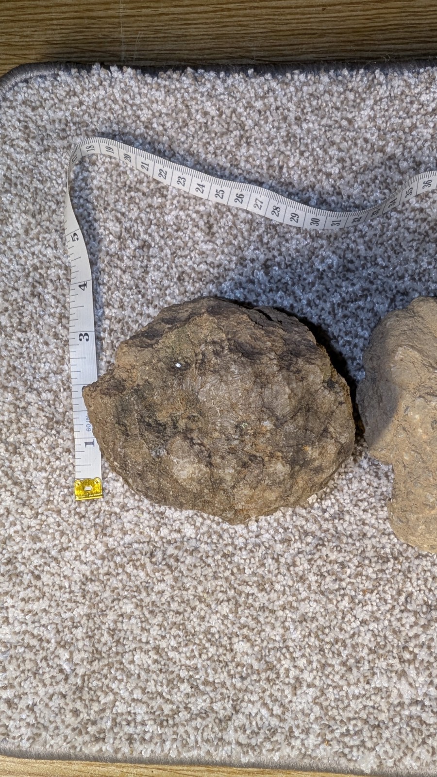 Geode Set Of 2 – Crack your own Native to Indiana Raw Rock
